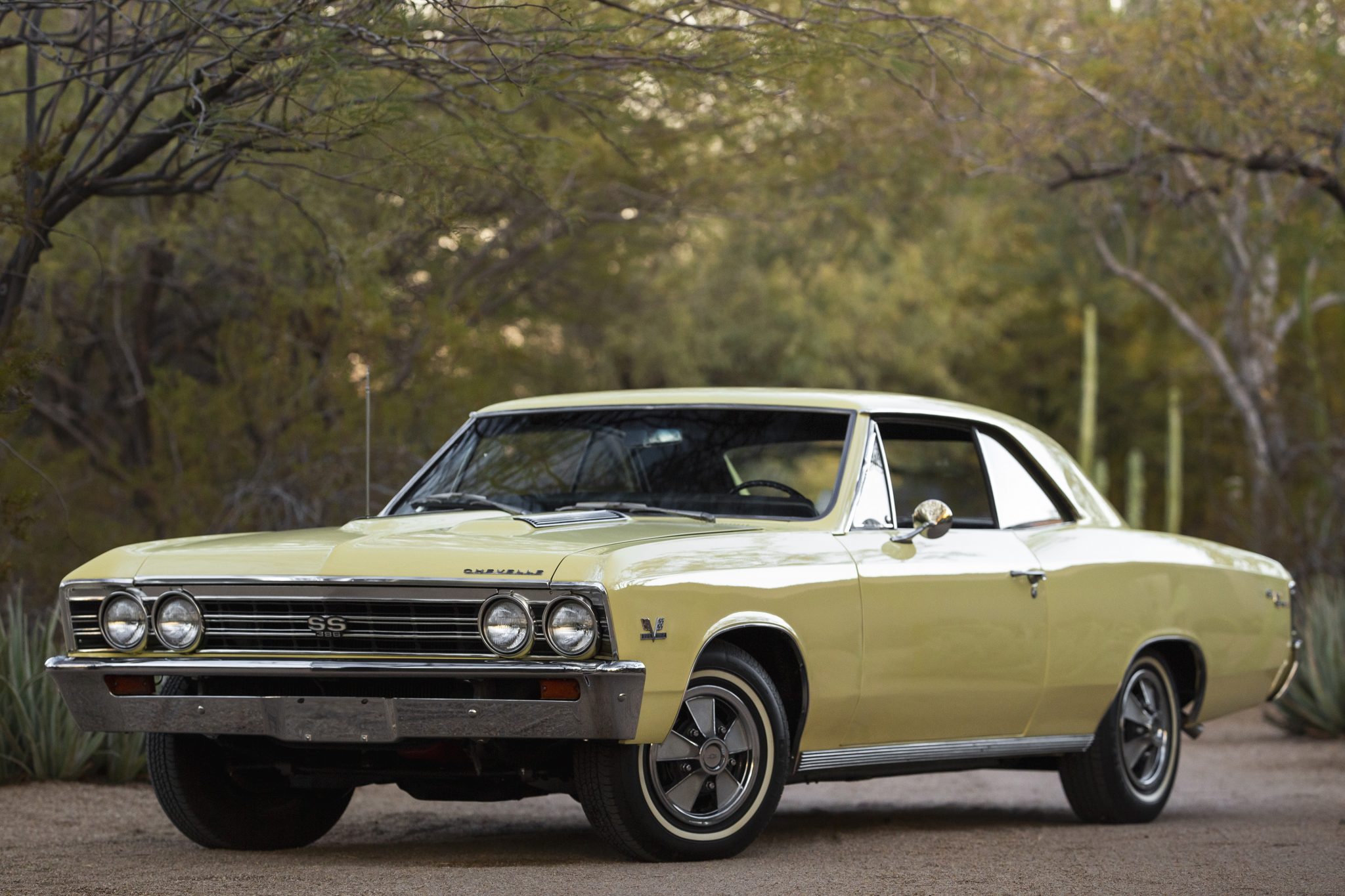 1967 Chevrolet Chevelle 