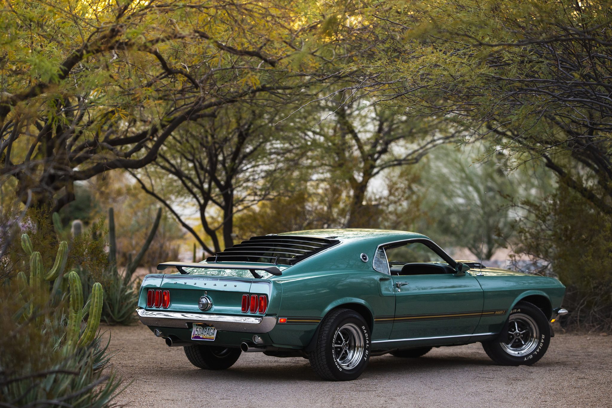 1969 Ford Mustang 1969-1973 