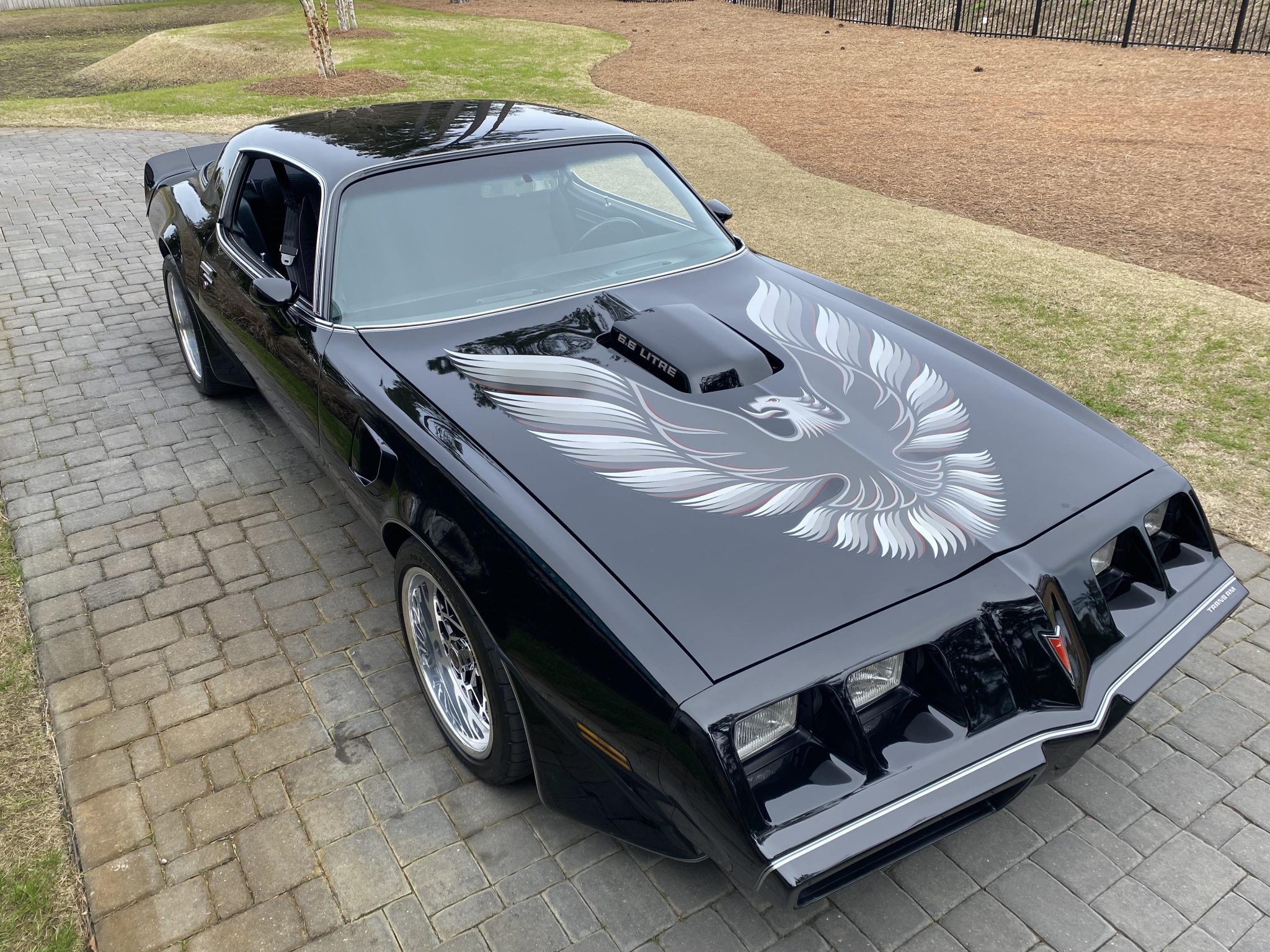 1979 Pontiac Firebird (1970-1981) 