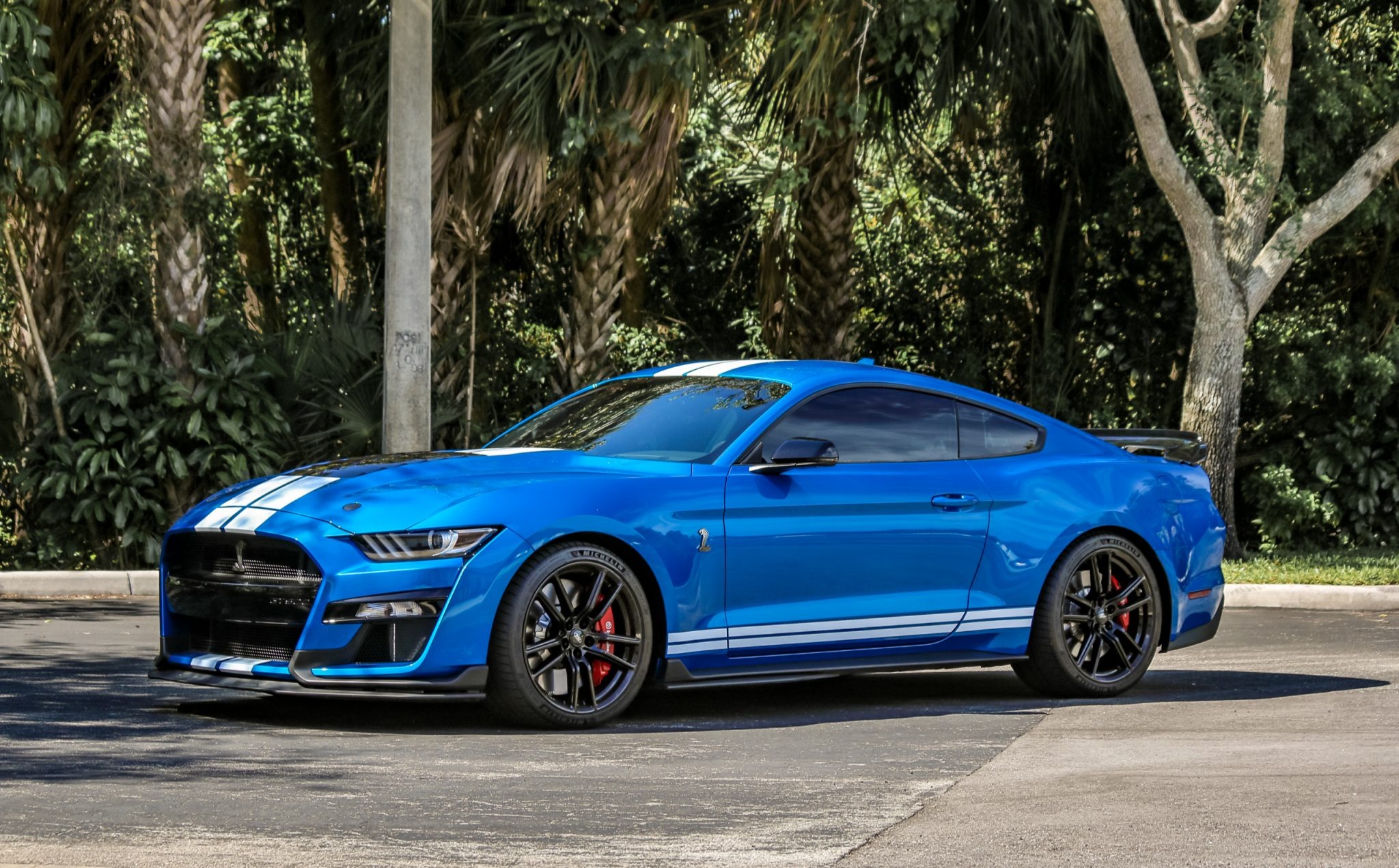 2020 Ford S550 Shelby Mustang 