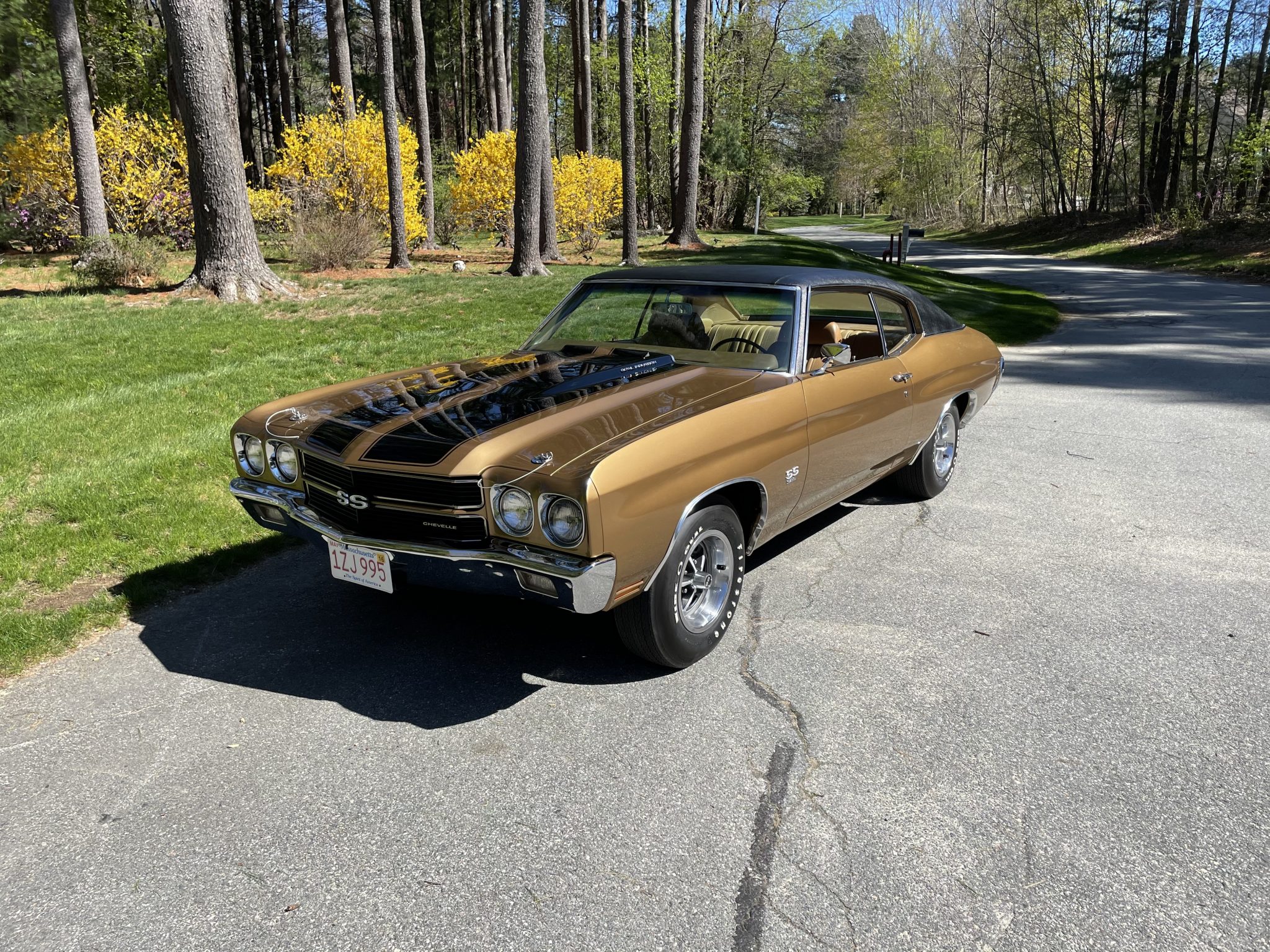 1970 Chevrolet Chevelle 