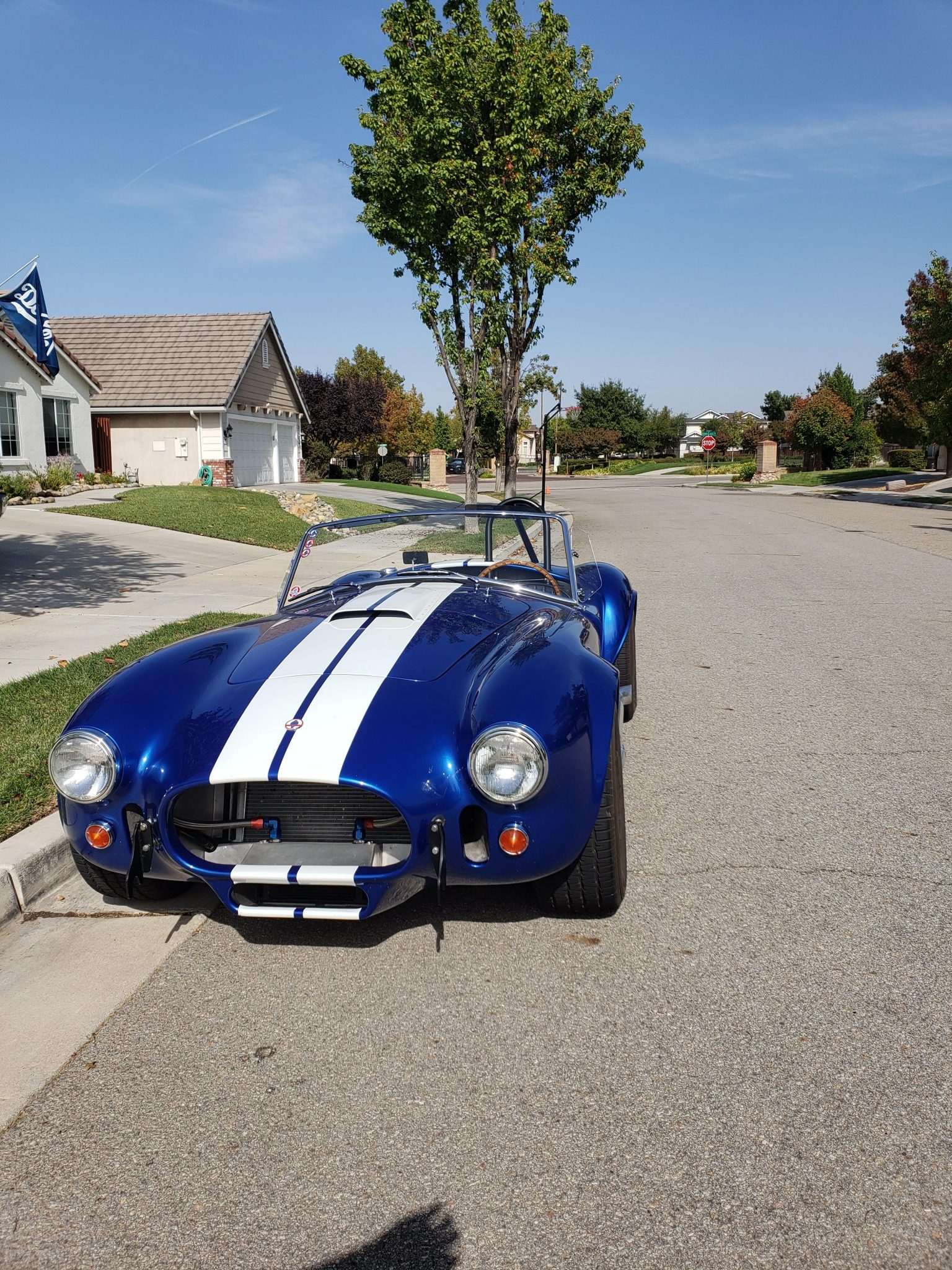 2003 Shelby Cobra Replica 