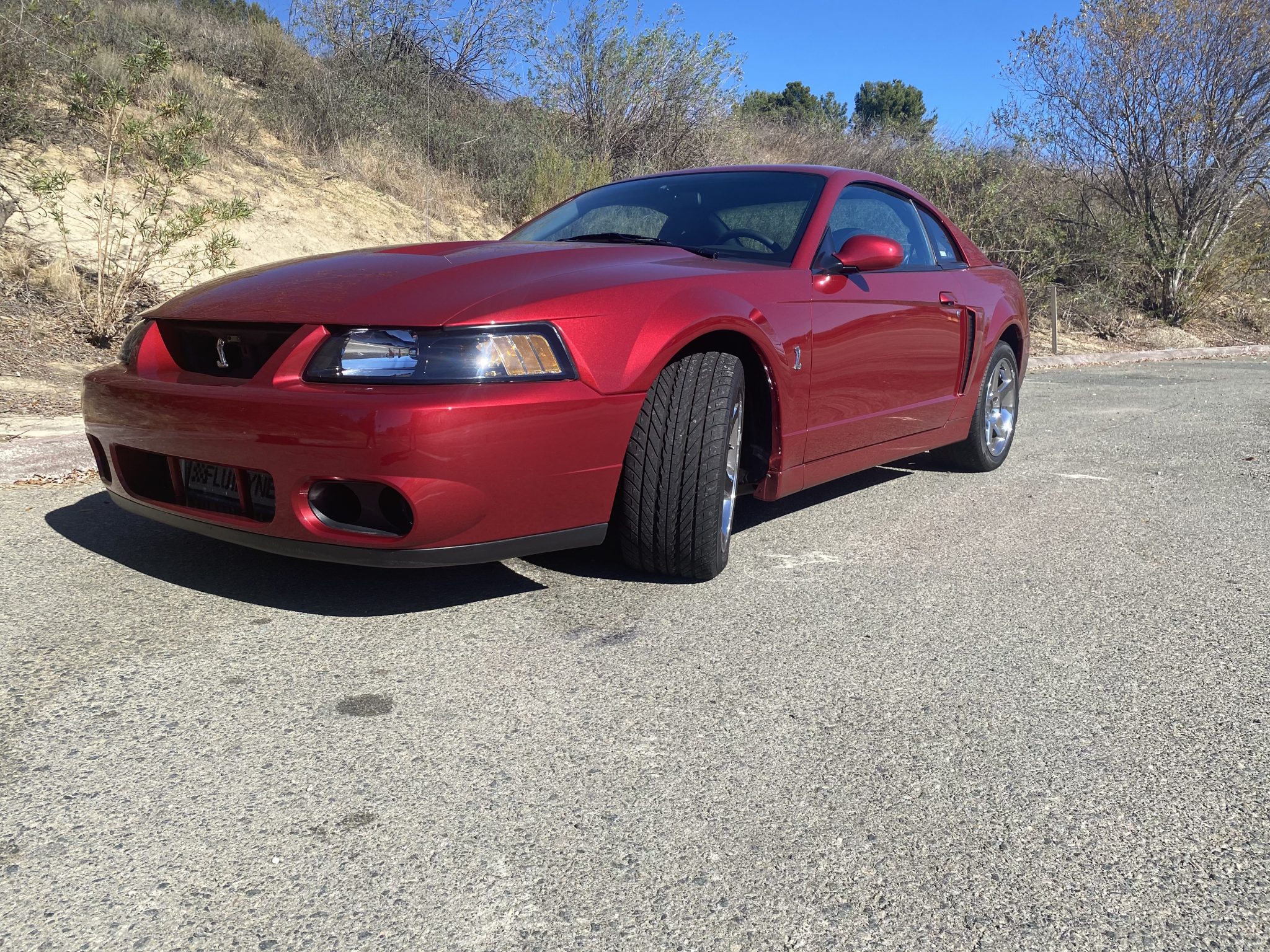 2004 Ford Mustang SN95 1994-2004 