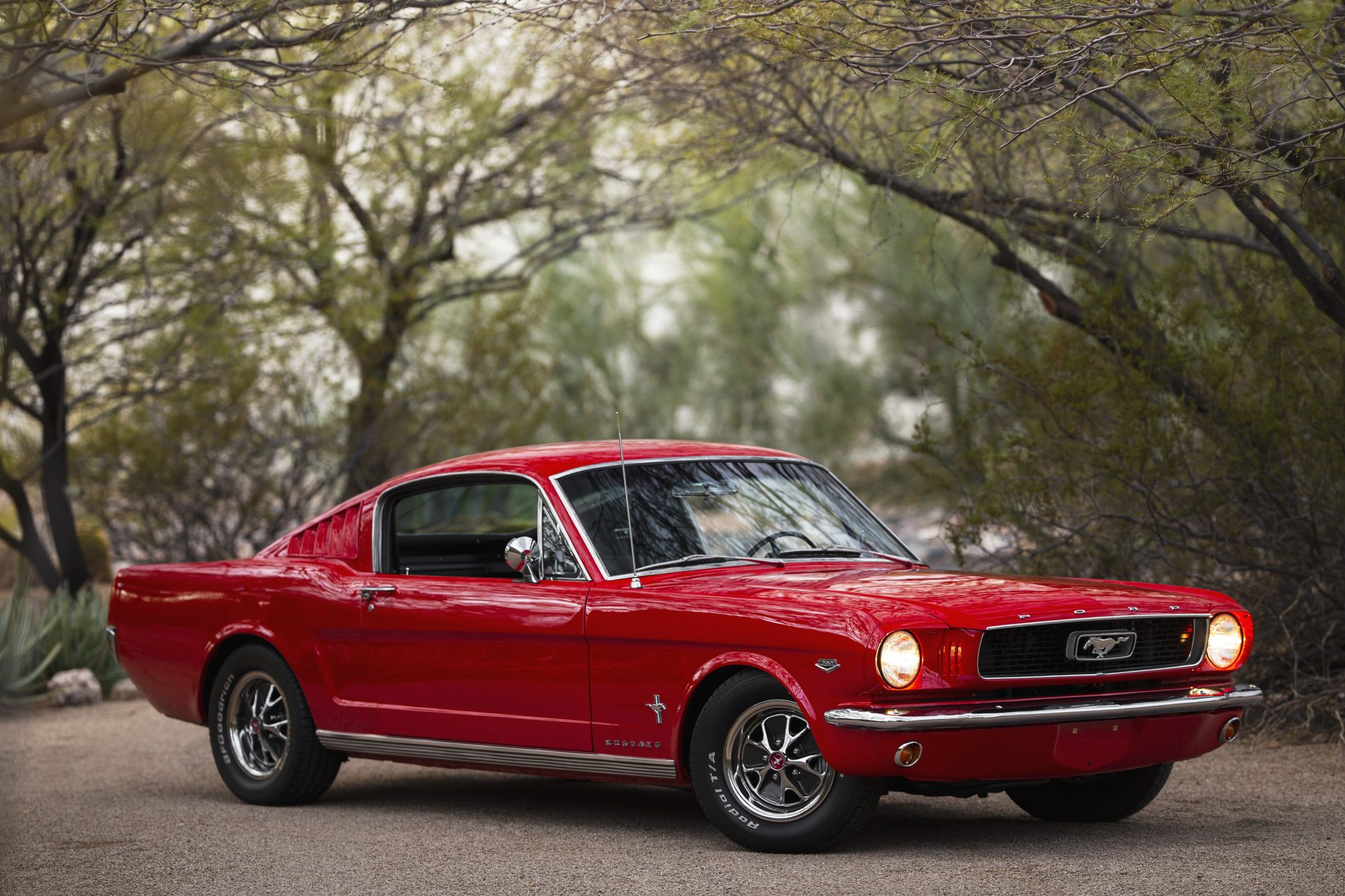 1966 Ford Mustang 1964.5-1966 