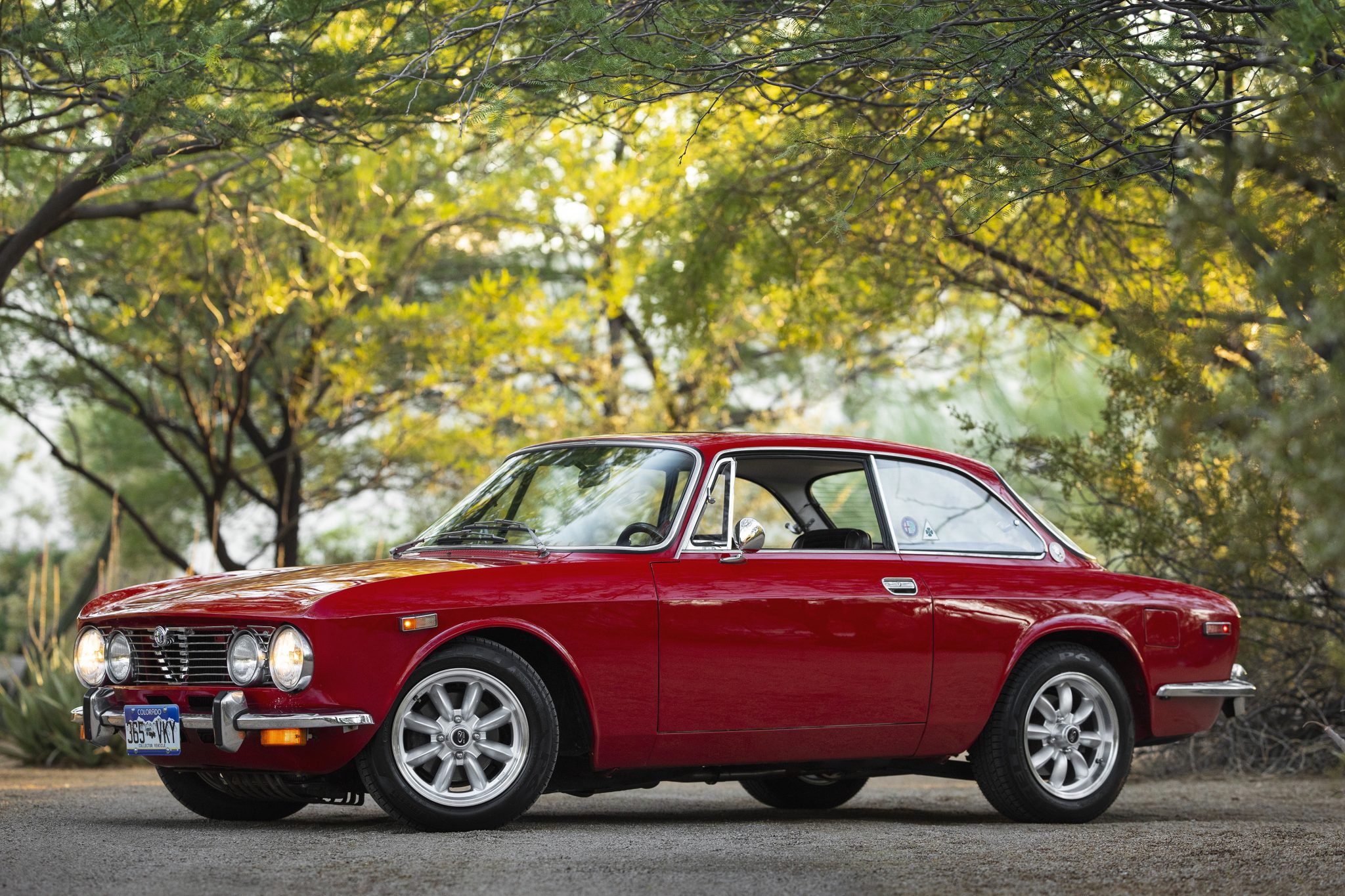 1974 Alfa Romeo 105/115 Series Coupe 