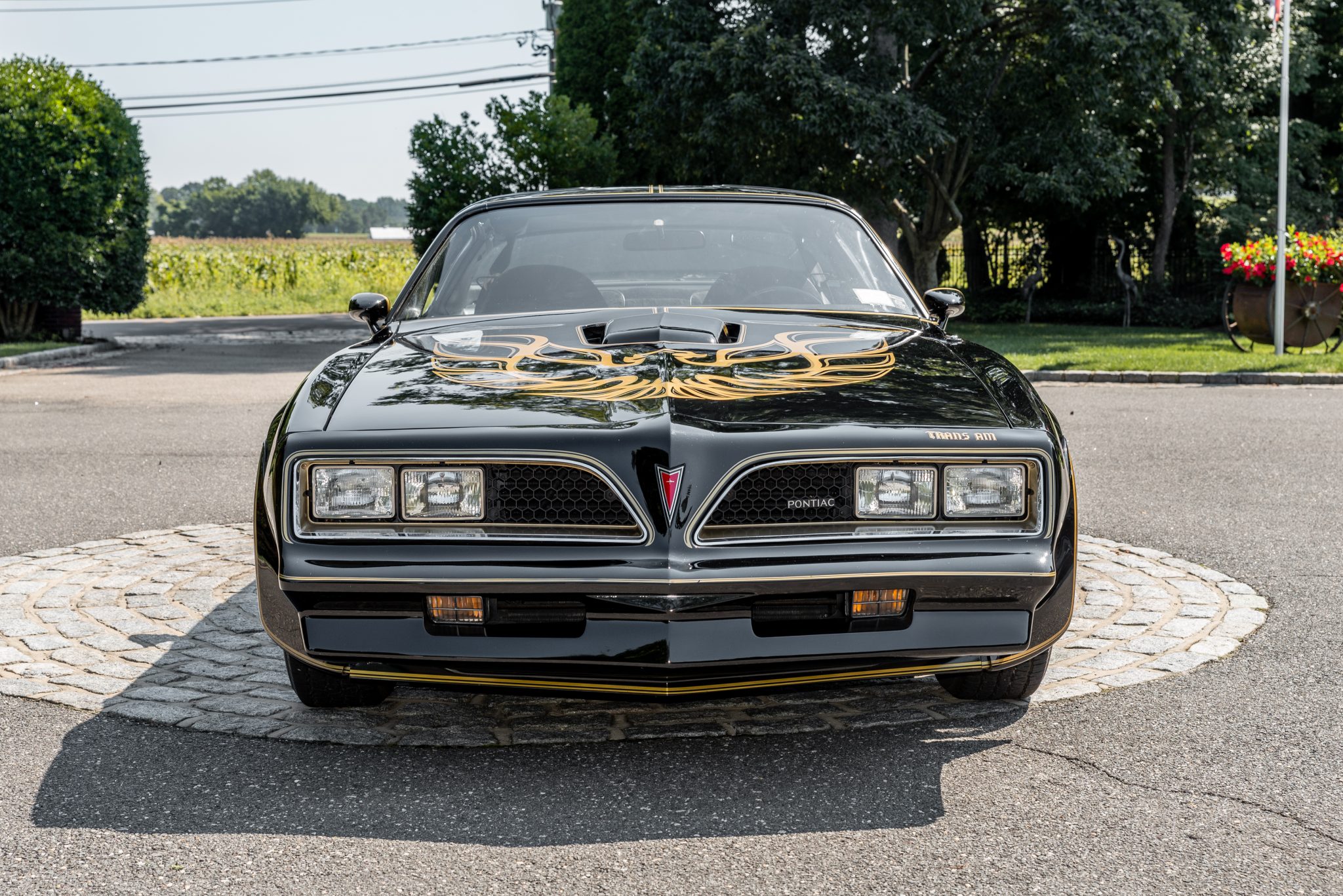 1977 Pontiac Firebird (1970-1981) 