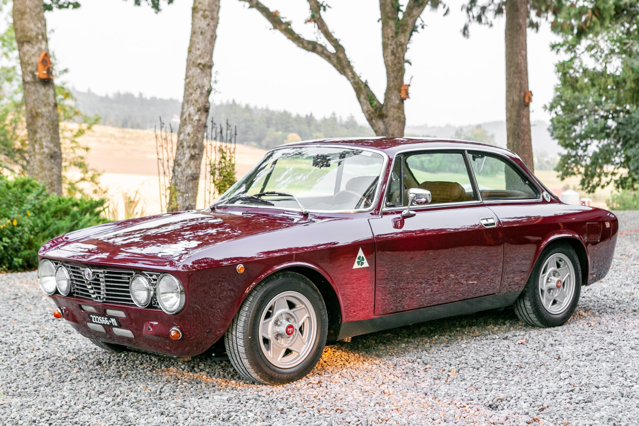 1974 Alfa Romeo 105/115 Series Coupe 