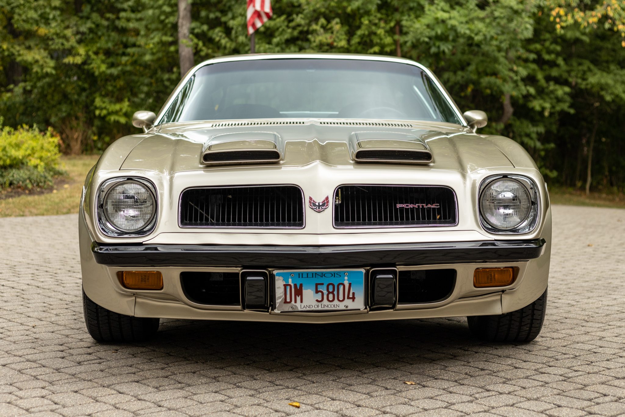 1974 Pontiac Firebird (1970-1981) 
