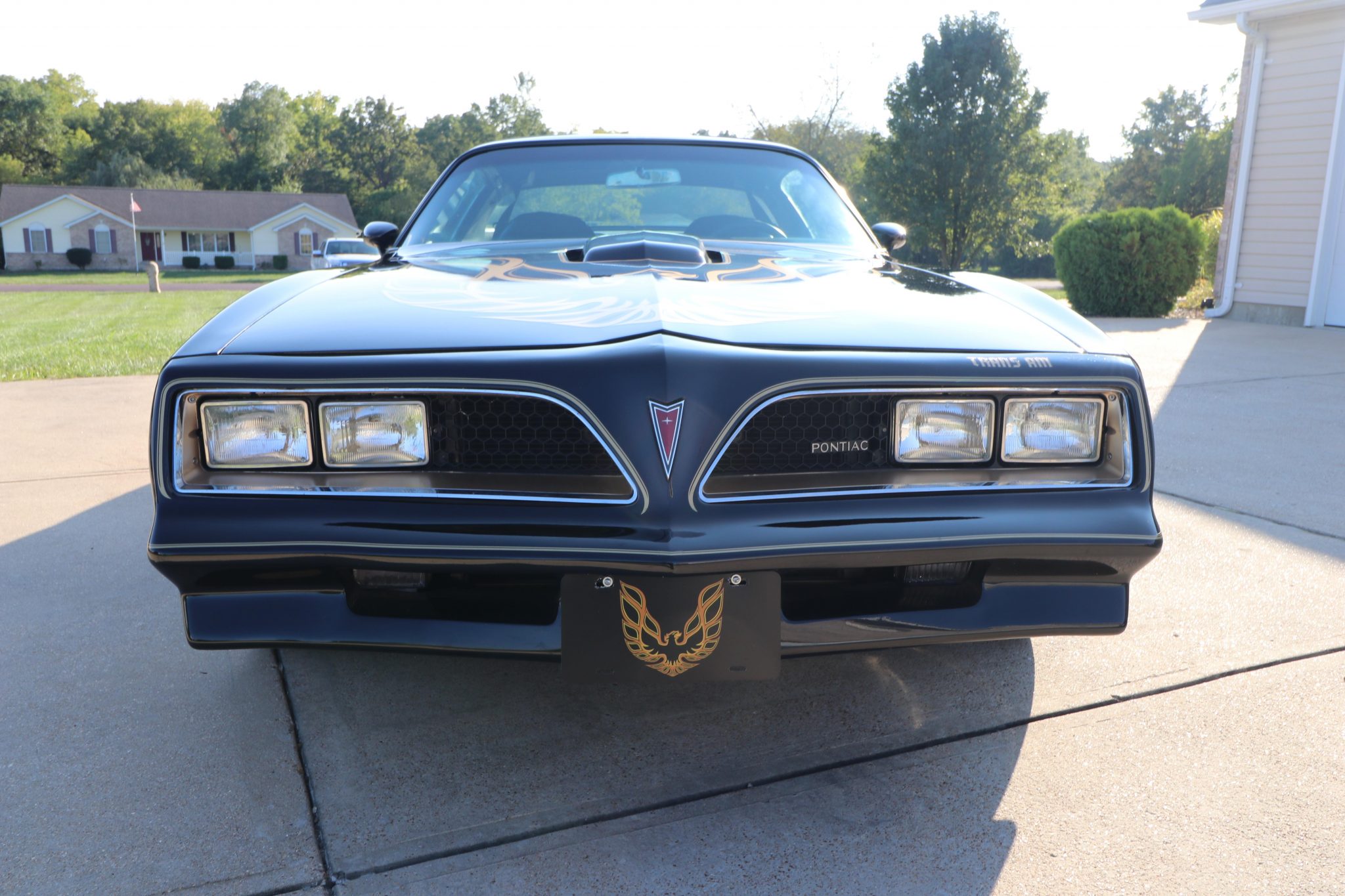 1977 Pontiac Firebird (1970-1981) 