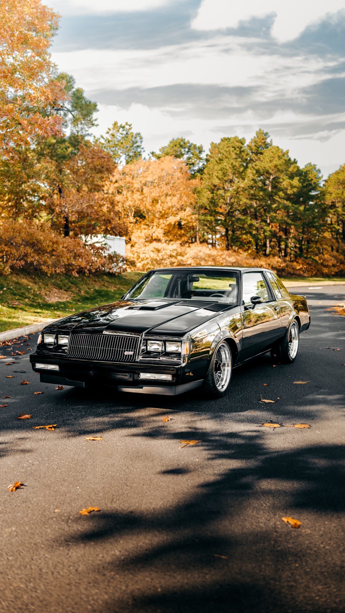 1987 Buick Grand National 