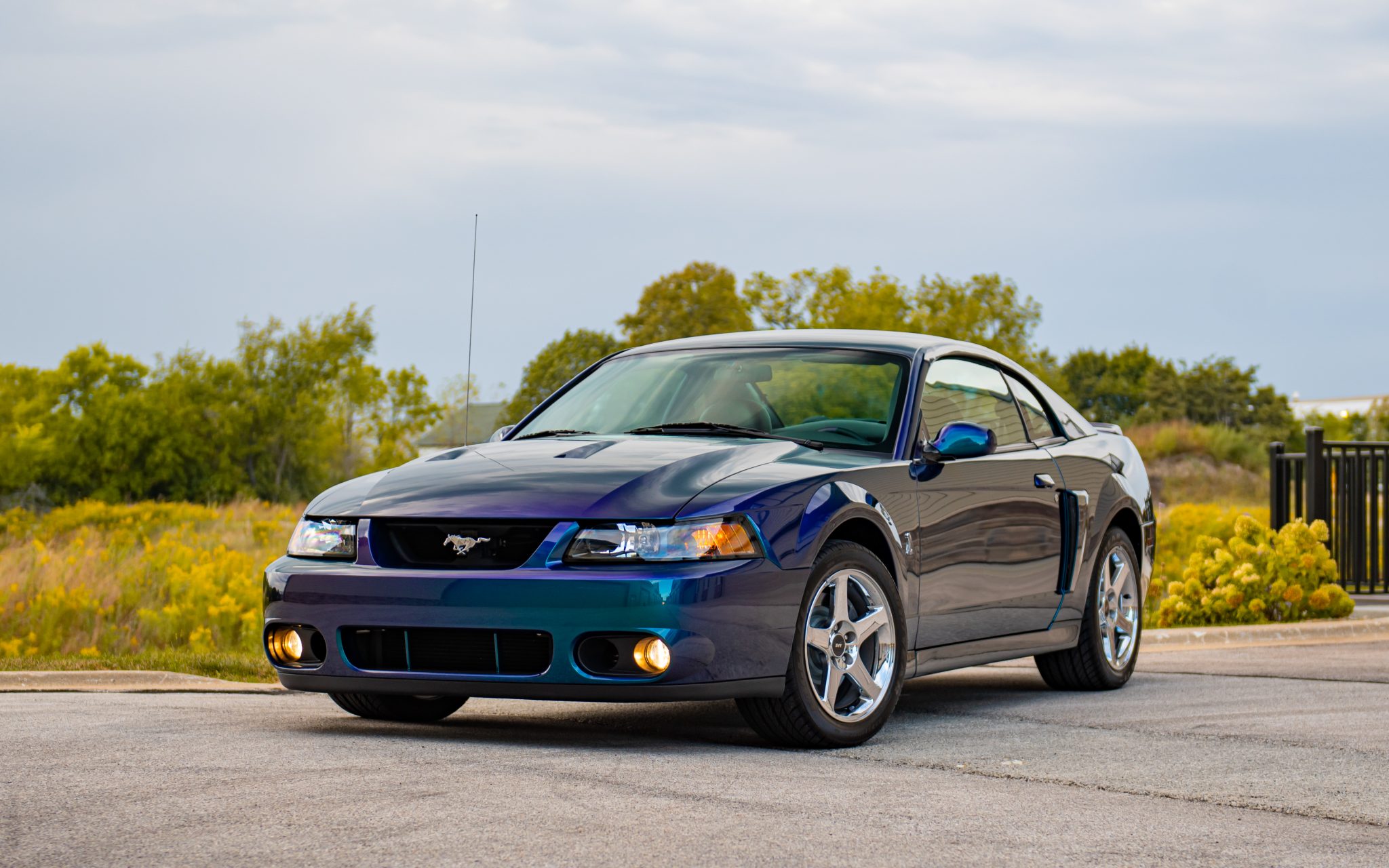 2004 Ford Mustang SN95 1994-2004 
