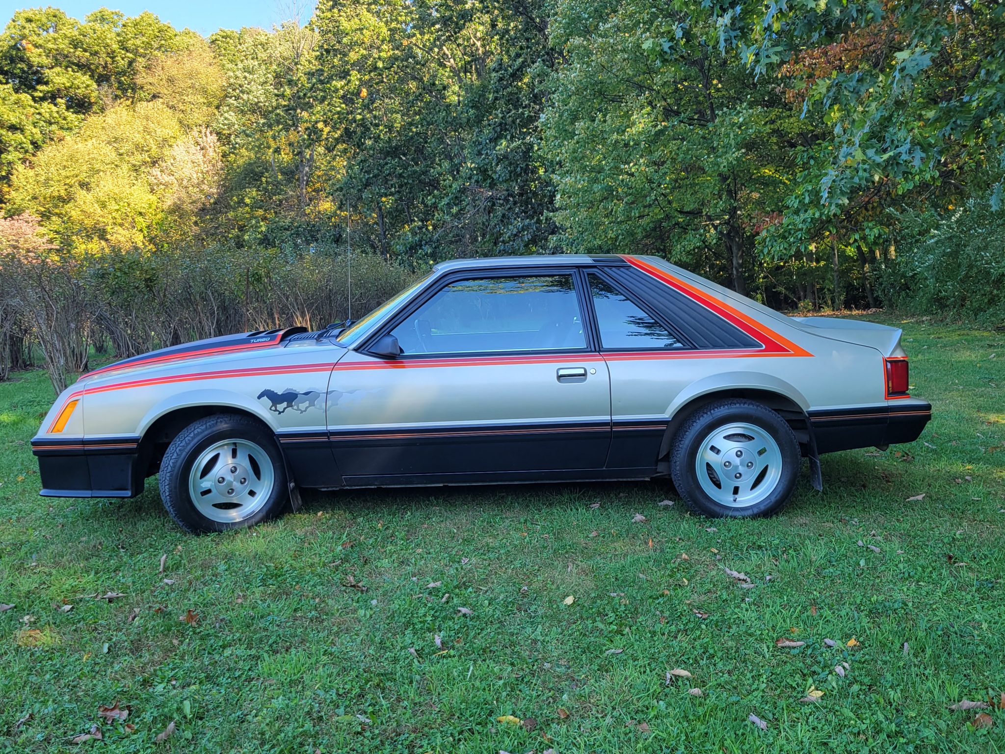 1979 Ford Fox-Body Mustang 