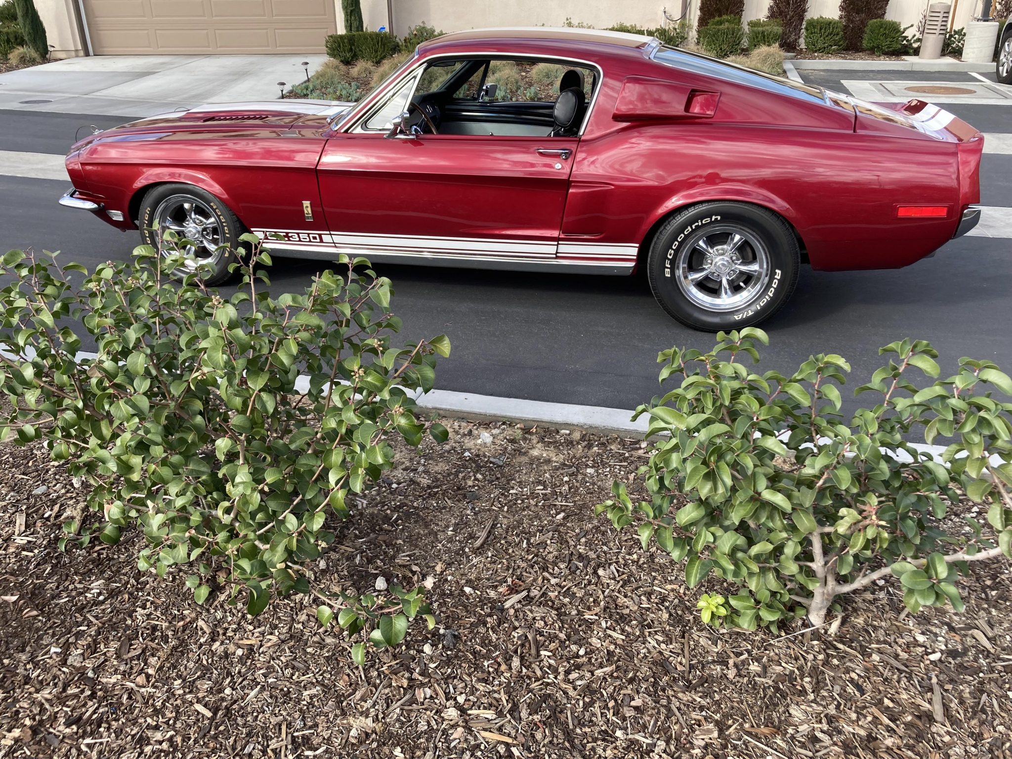 1968 Ford Mustang 1967-1968 
