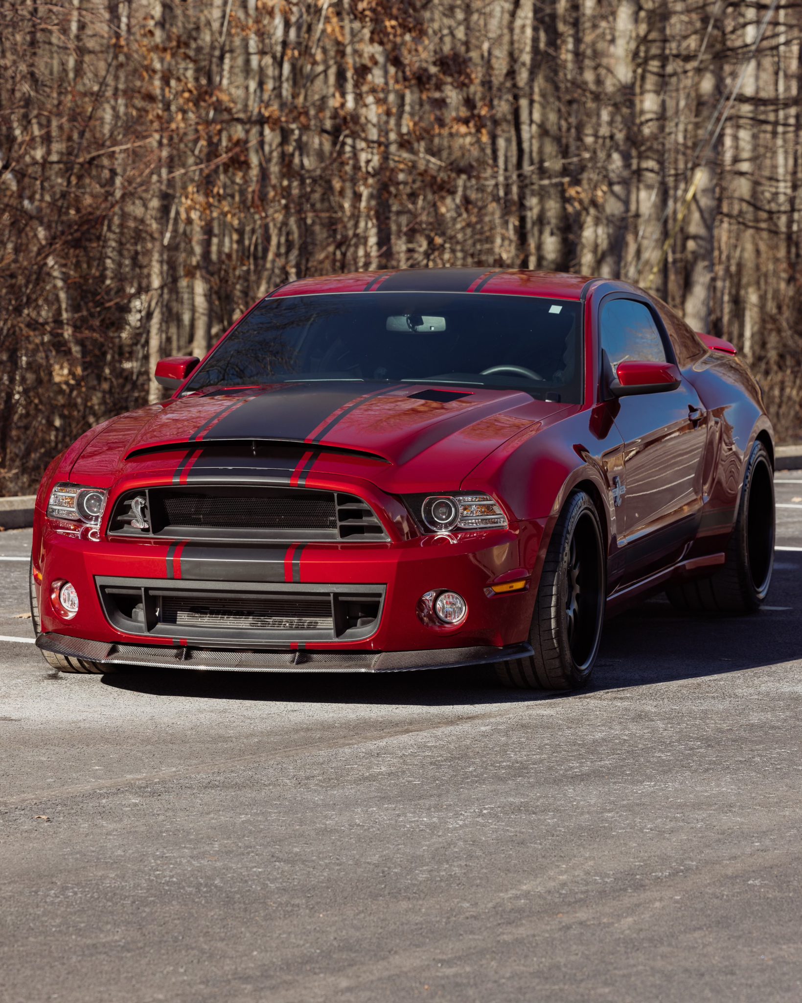 2014 Ford S197 Shelby Mustang 