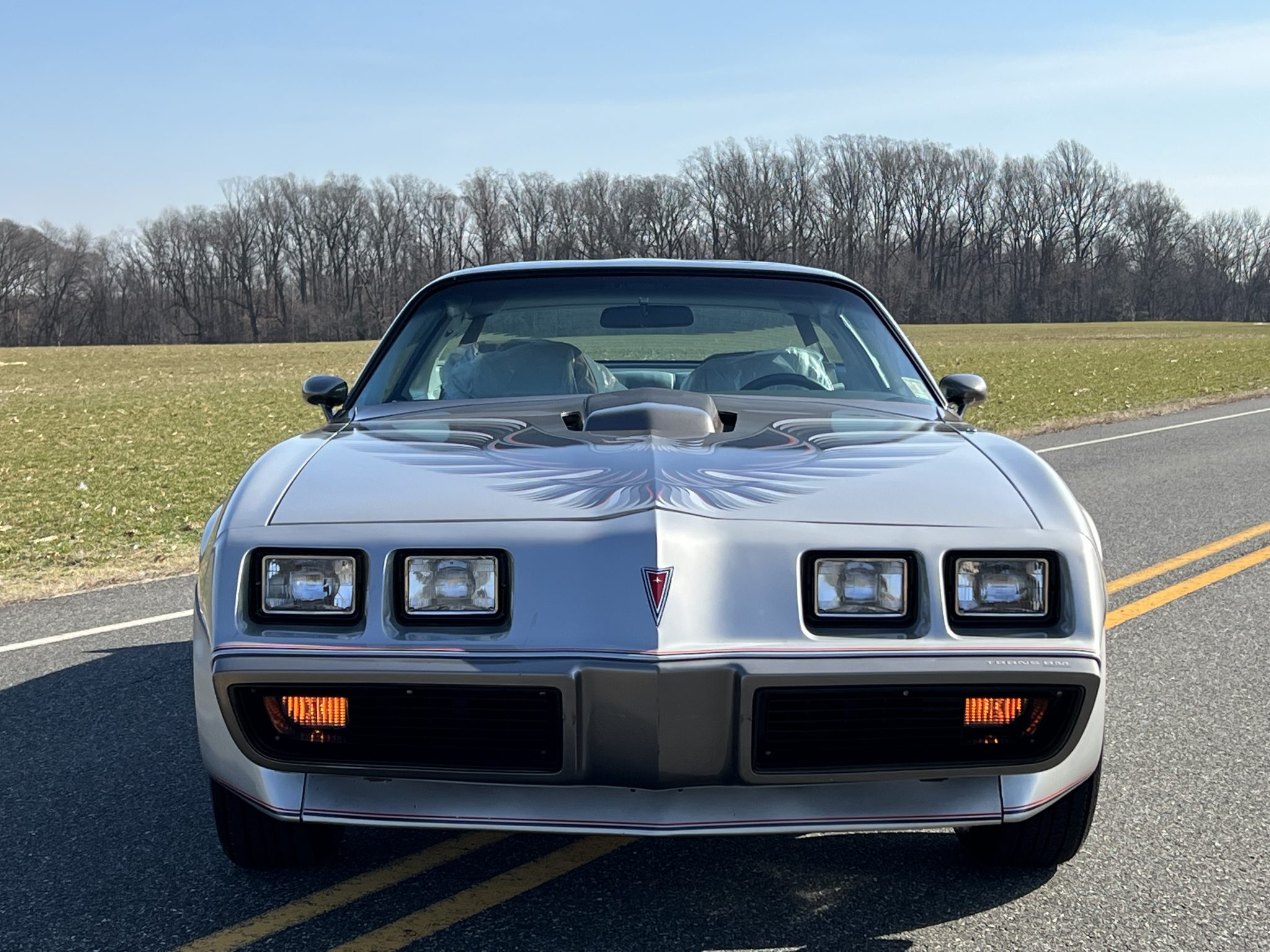 1979 Pontiac Firebird (1970-1981) 
