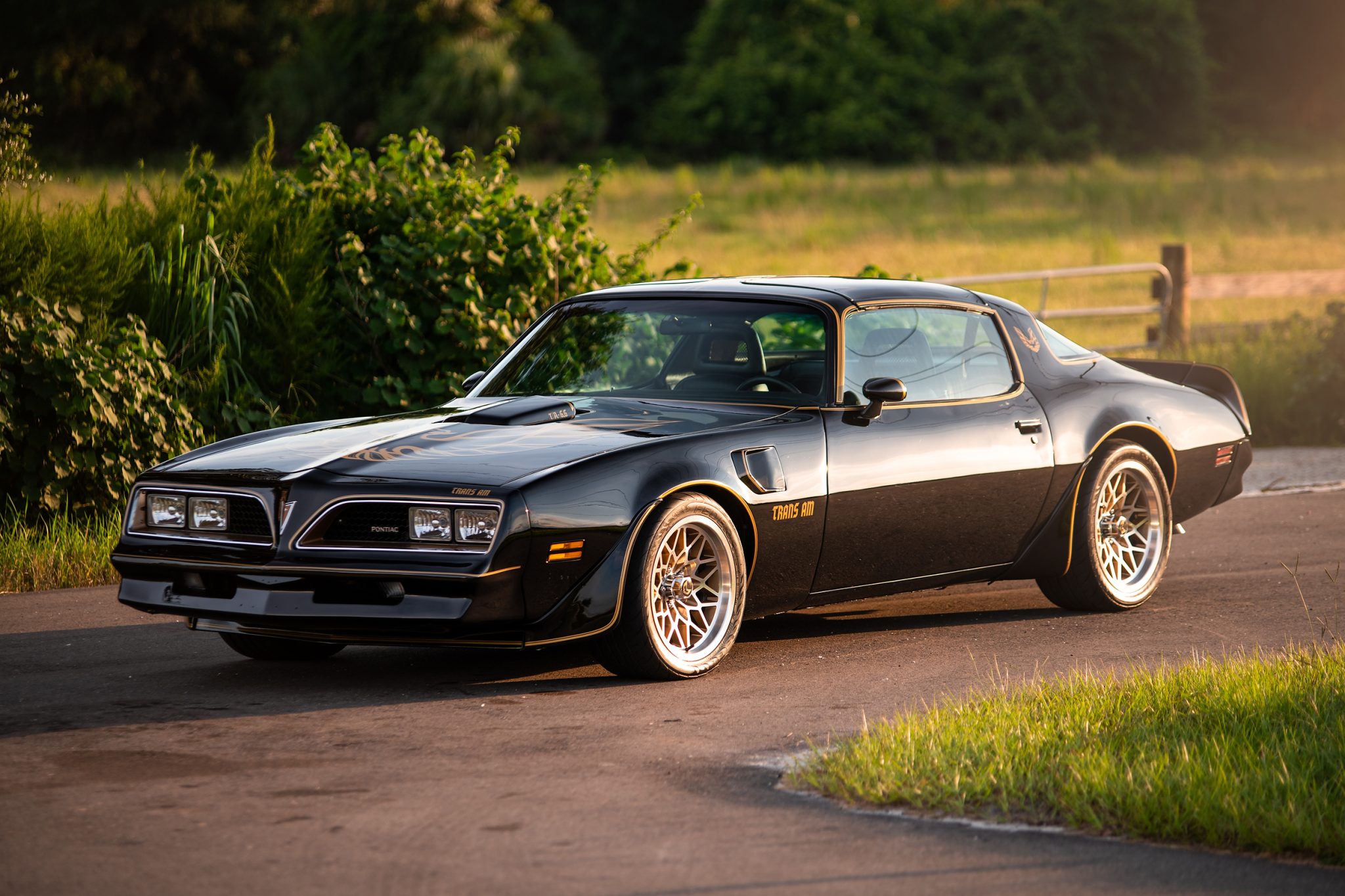 1977 Pontiac Firebird (1970-1981) 
