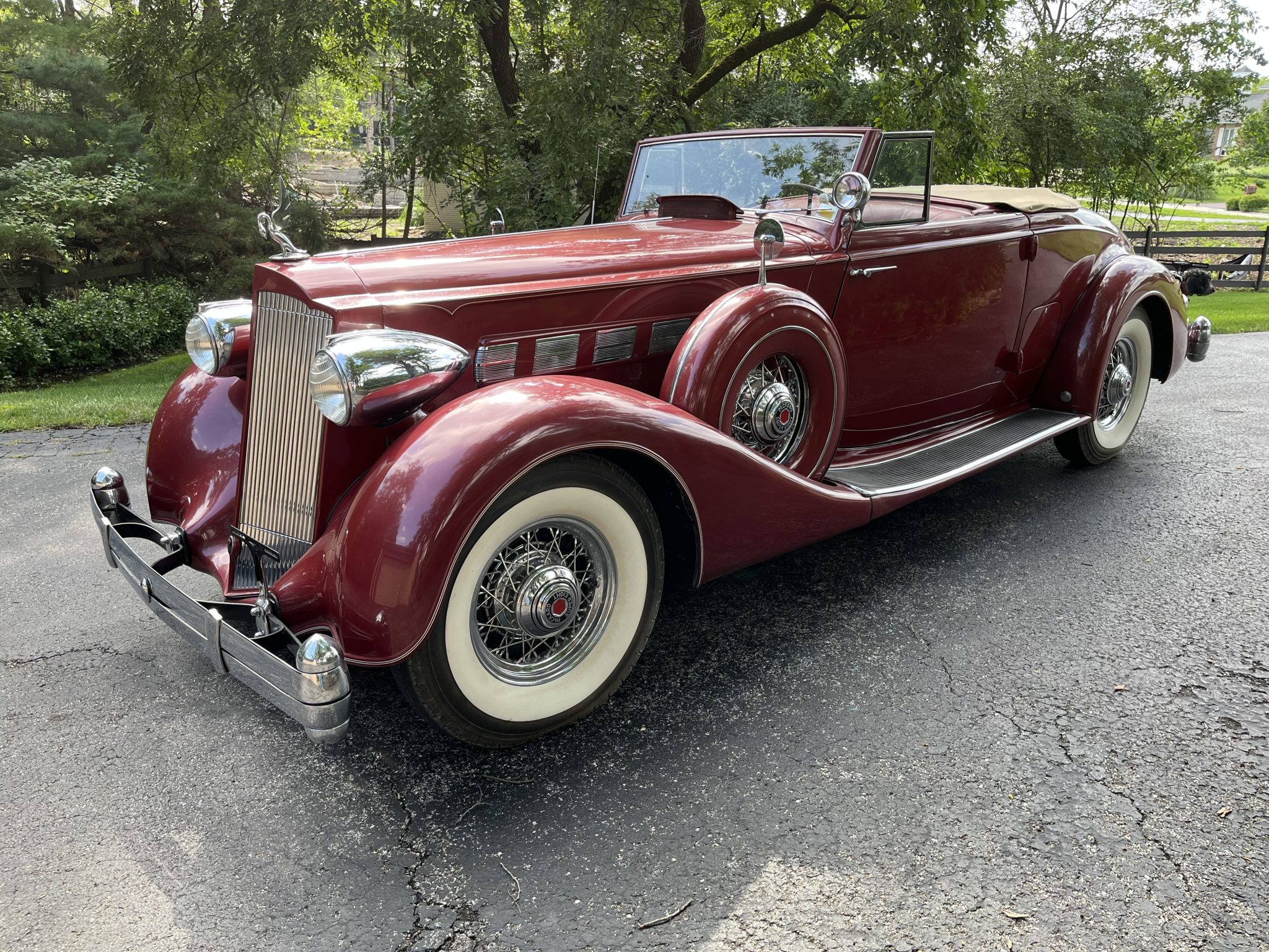 1936 Packard Eight 