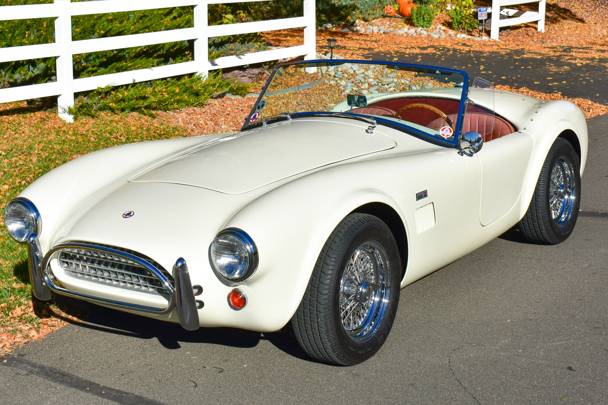 Shelby Cobra CSX8000 5-Speed