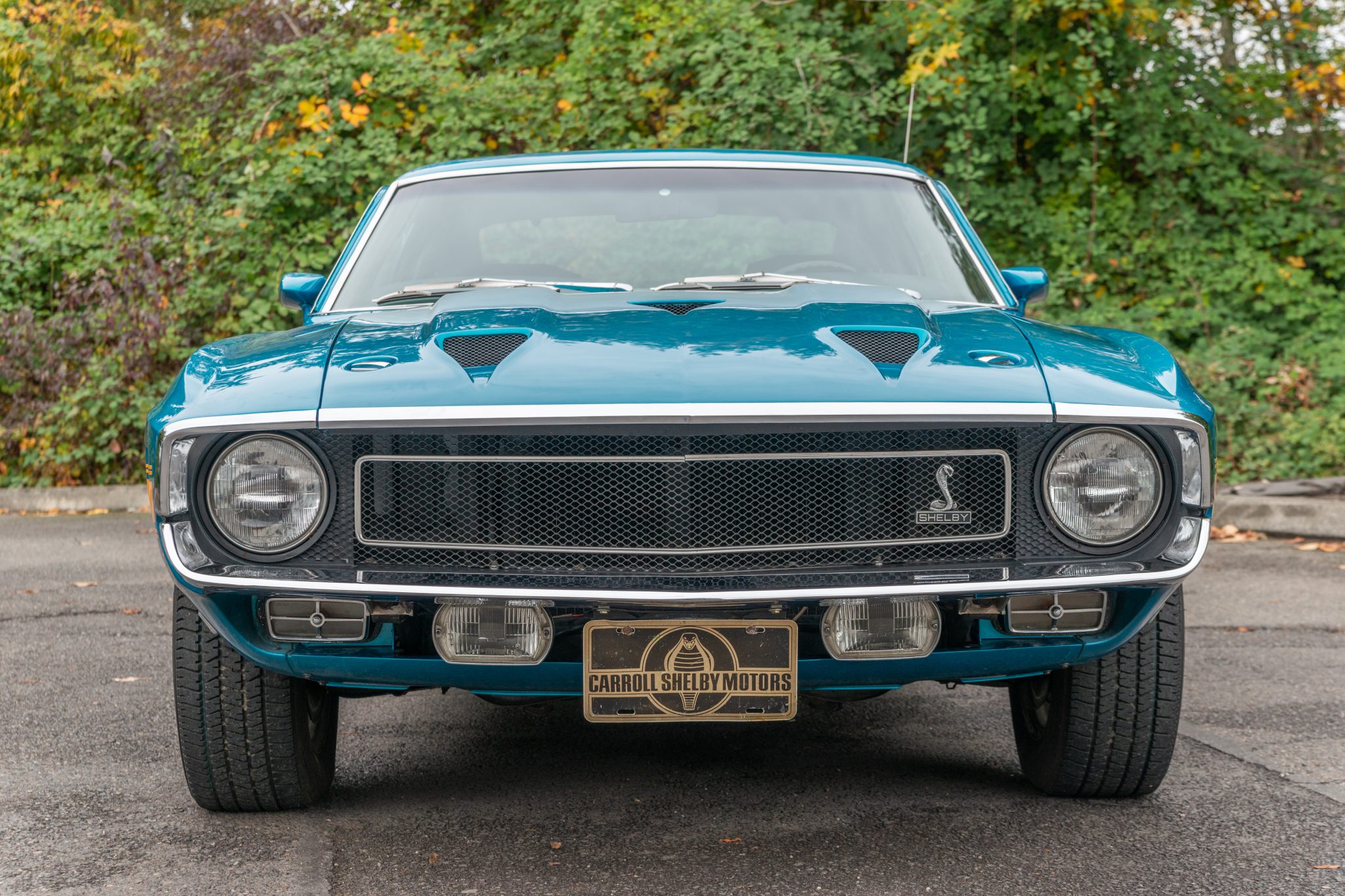 1969 Shelby Mustang GT350 & GT500 