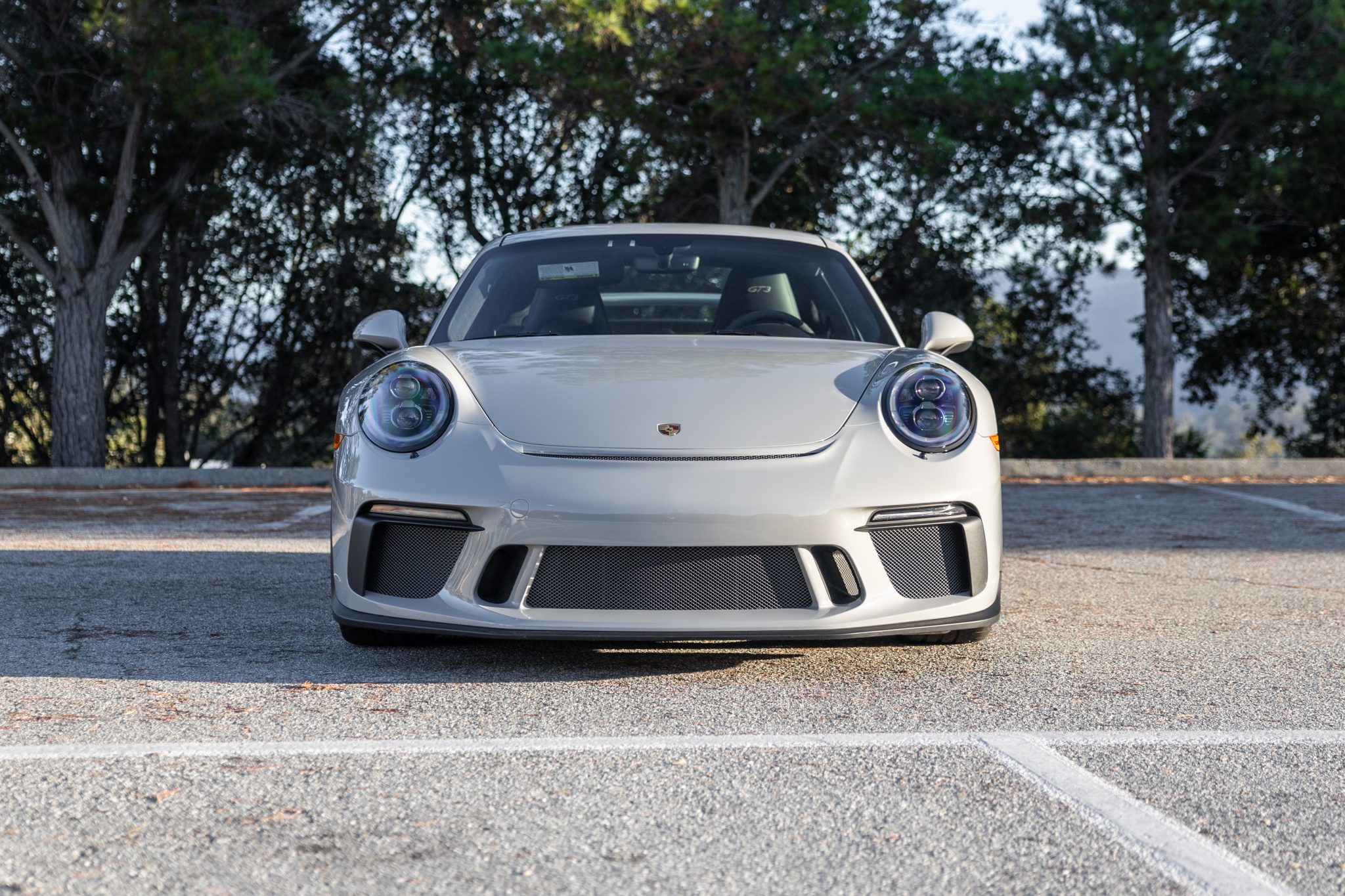2018 Porsche 991 GT3 