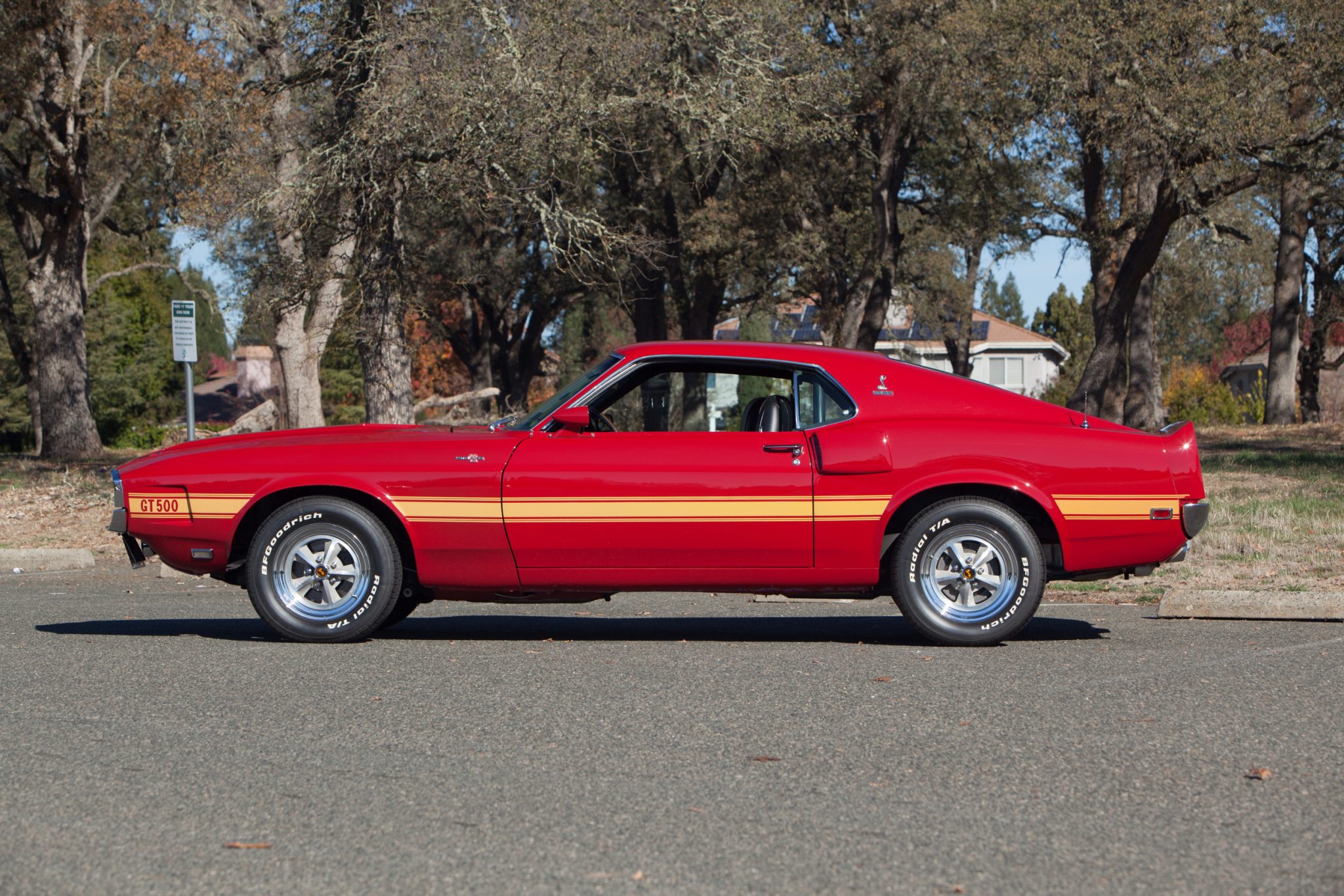 1969 Shelby Mustang GT350 & GT500 