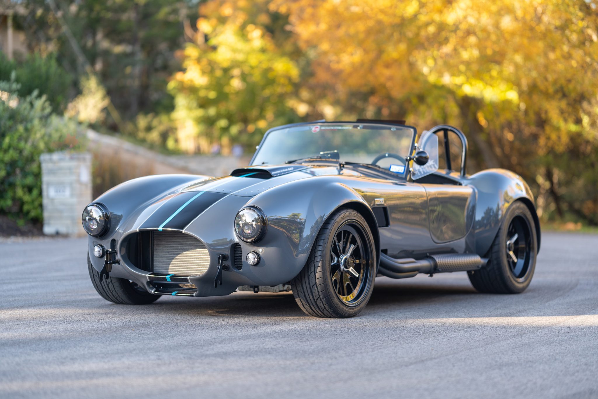 1965 Shelby Cobra Replica 