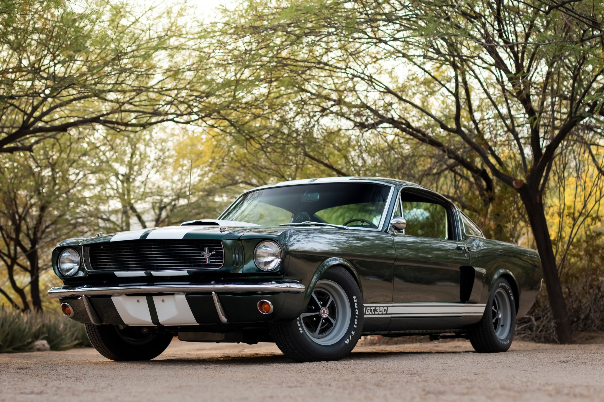 1966 Ford Mustang 1964.5-1966 