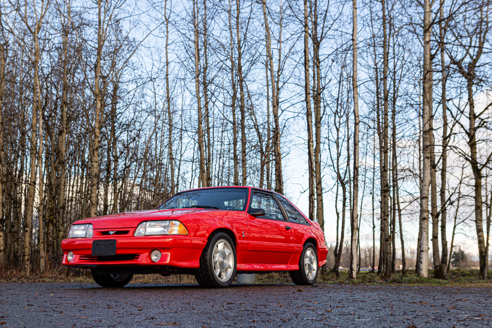 1993 Ford Fox-Body Mustang 