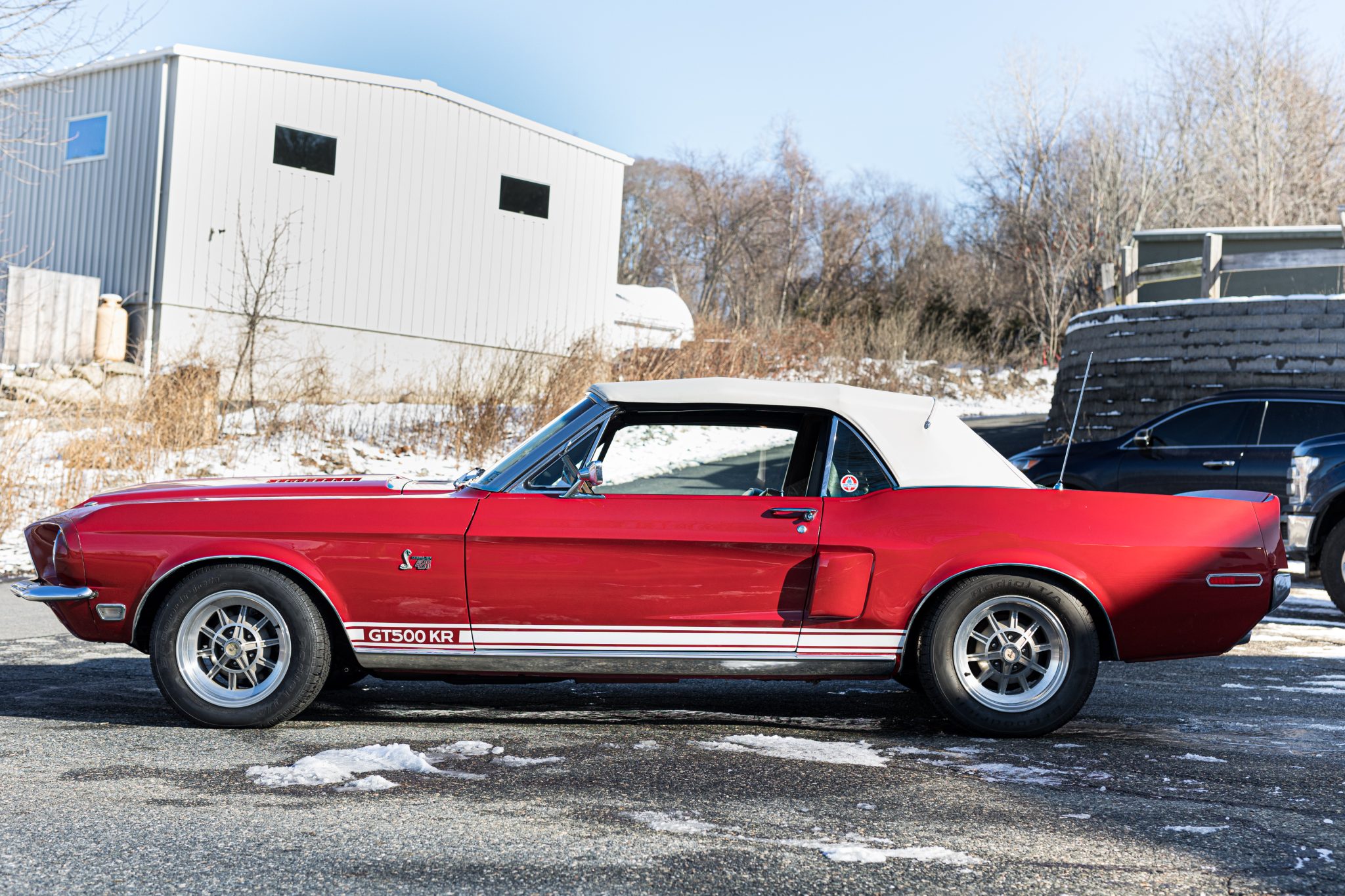 1968 Shelby Mustang GT350 & GT500 