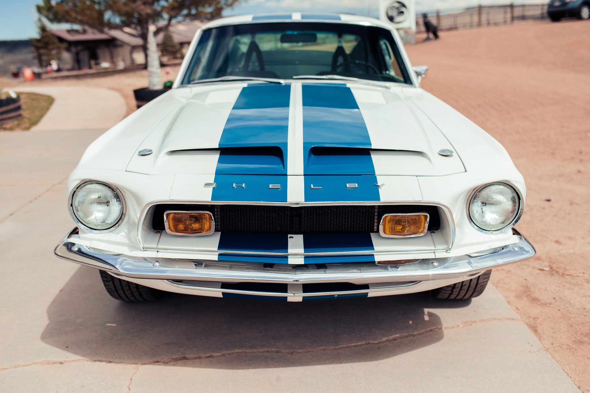 1968 Shelby Mustang GT350 & GT500 