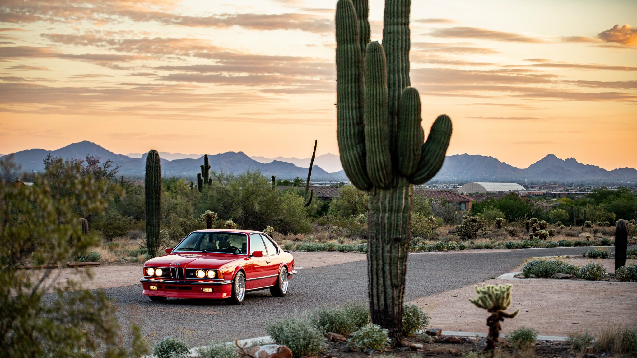 1985 BMW E24 M6 & M635CSi 