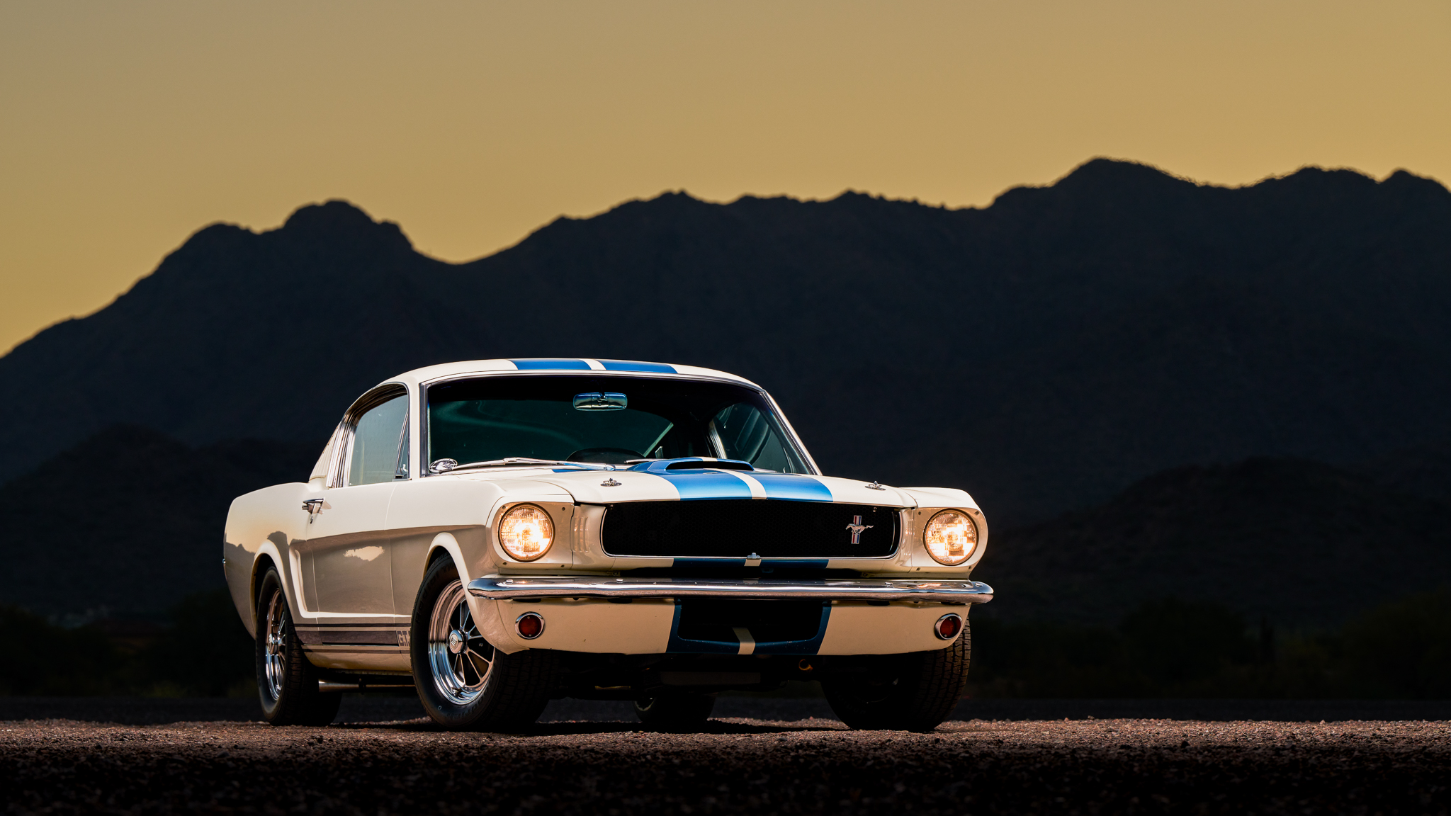 1965 Shelby Mustang GT350 & GT500 