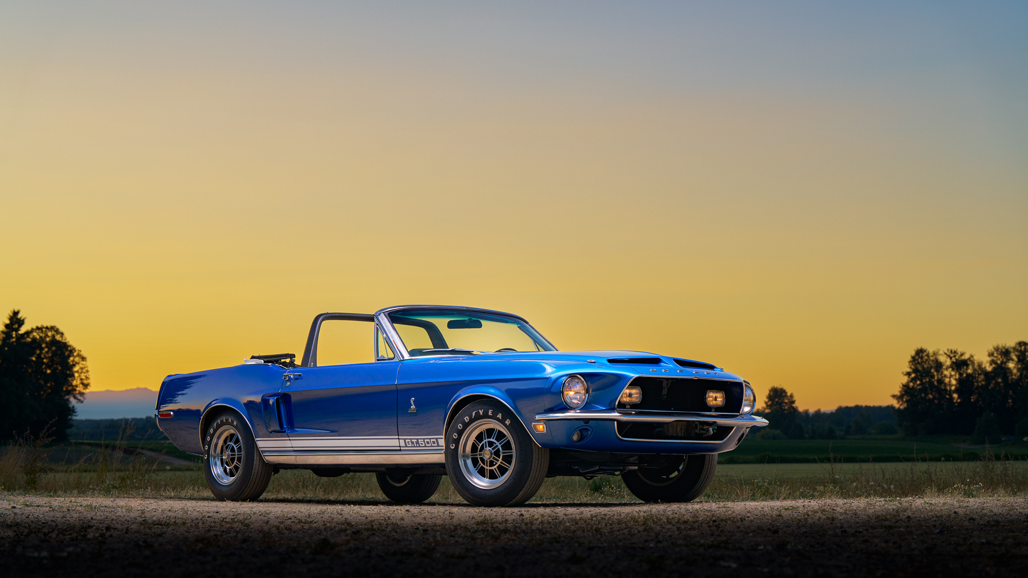 1968 Shelby Mustang GT350 & GT500 