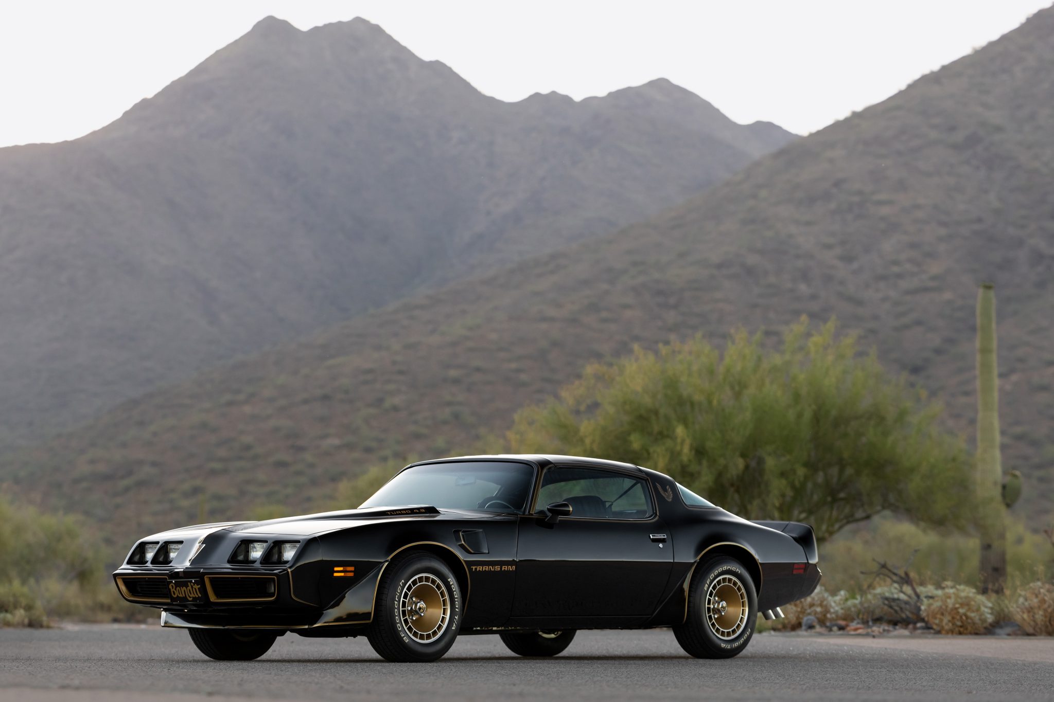 1980 Pontiac Firebird (1970-1981) 