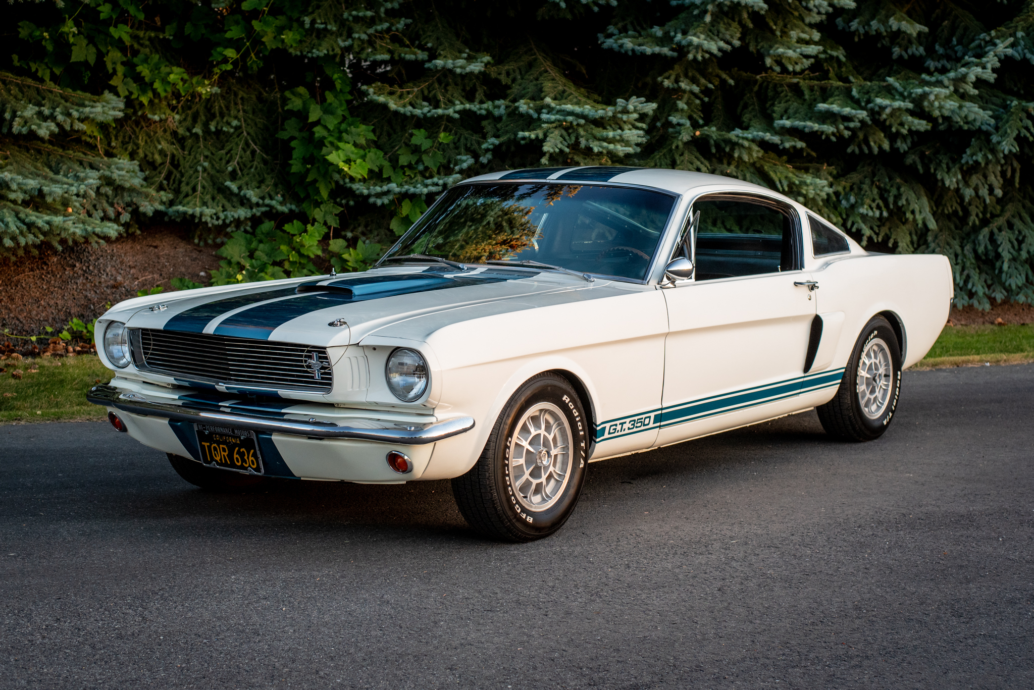 1966 Shelby Mustang GT350 & GT500 