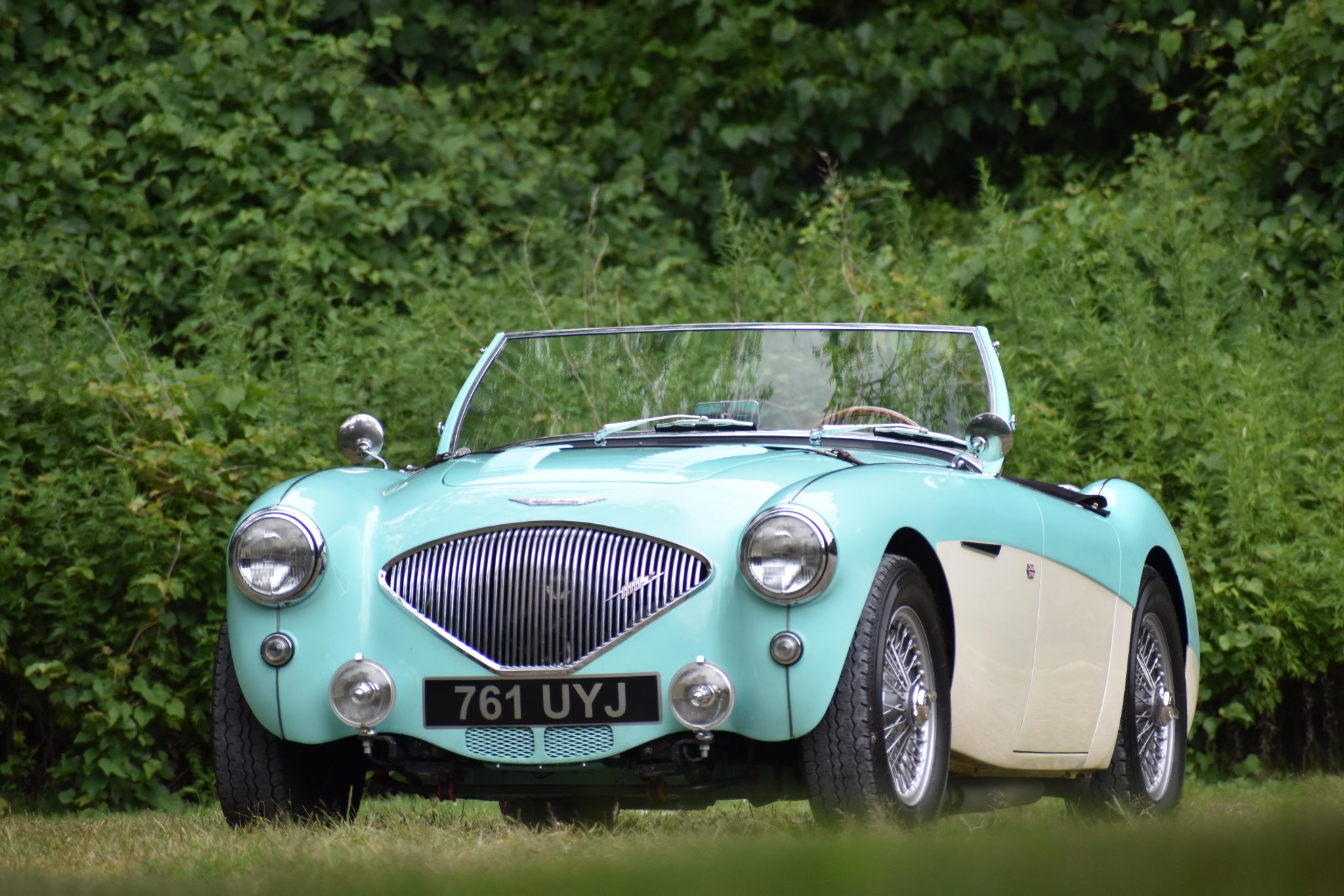 1956 Austin-Healey 100 