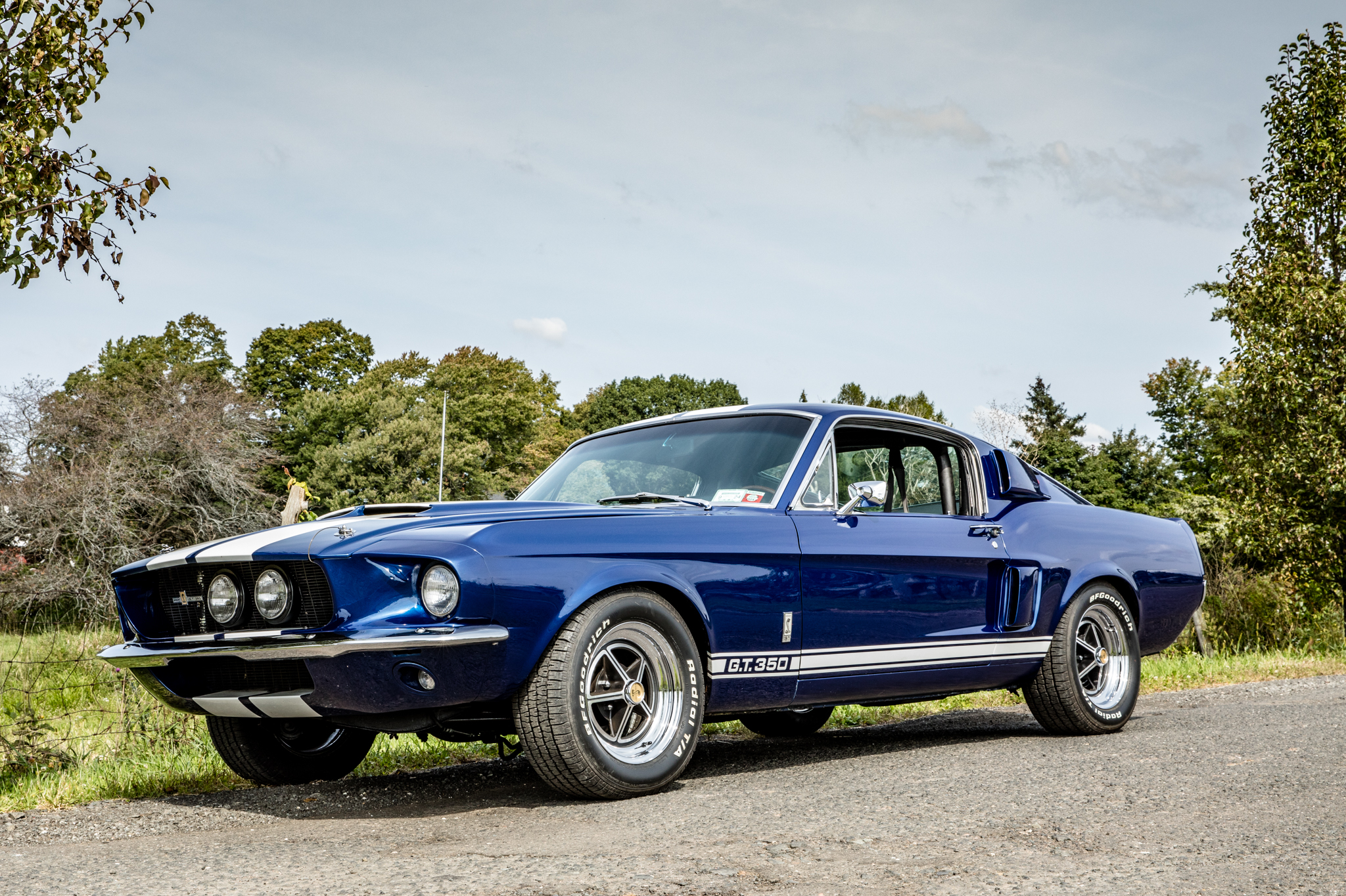 1967 Shelby Mustang GT350 & GT500 