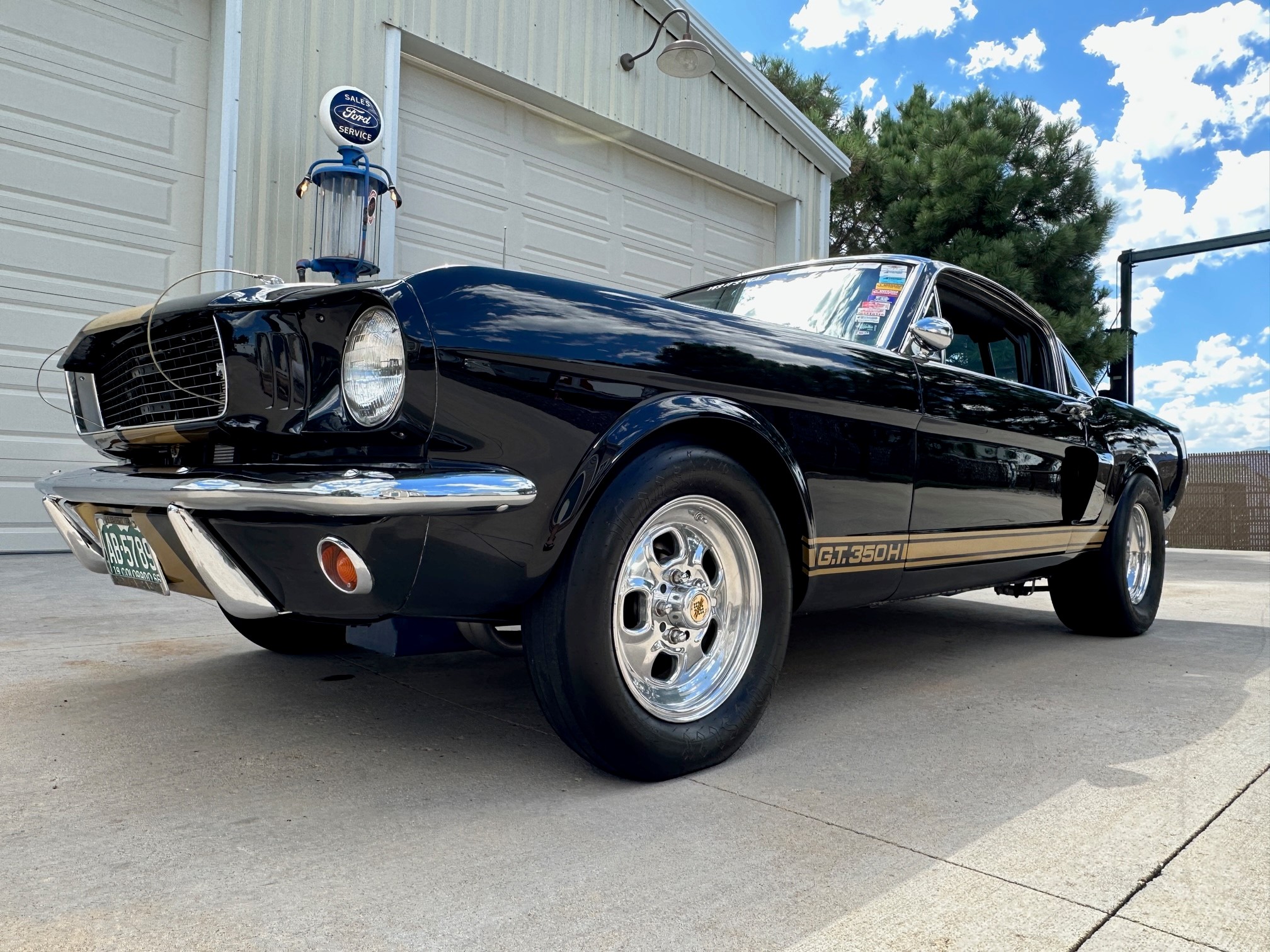 1966 Shelby Mustang GT350 & GT500 