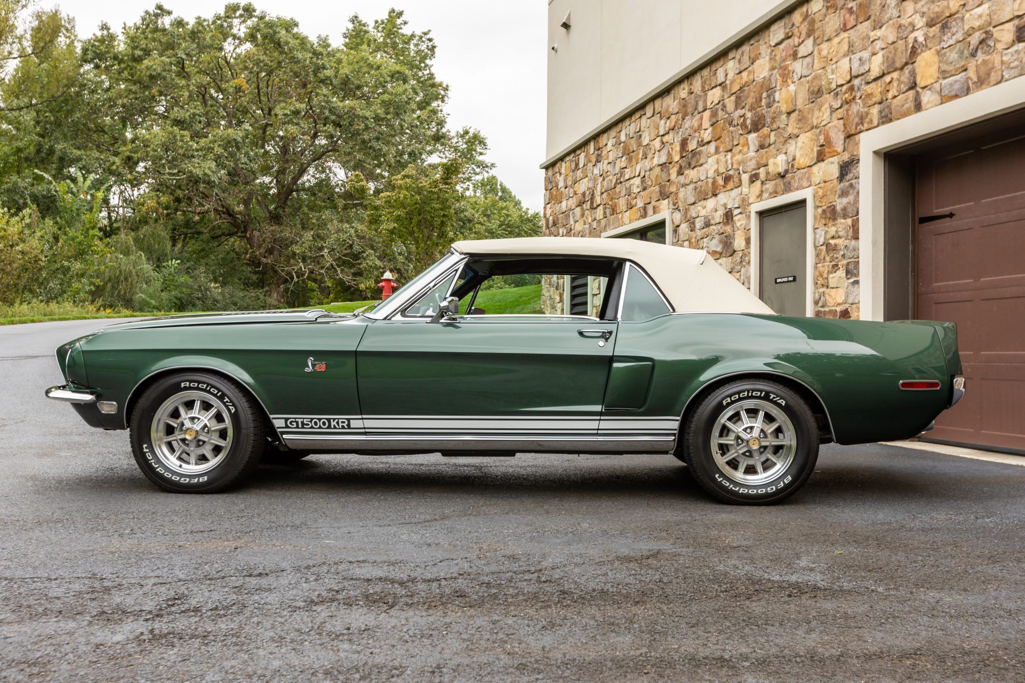 1968 Shelby Mustang GT350 & GT500 
