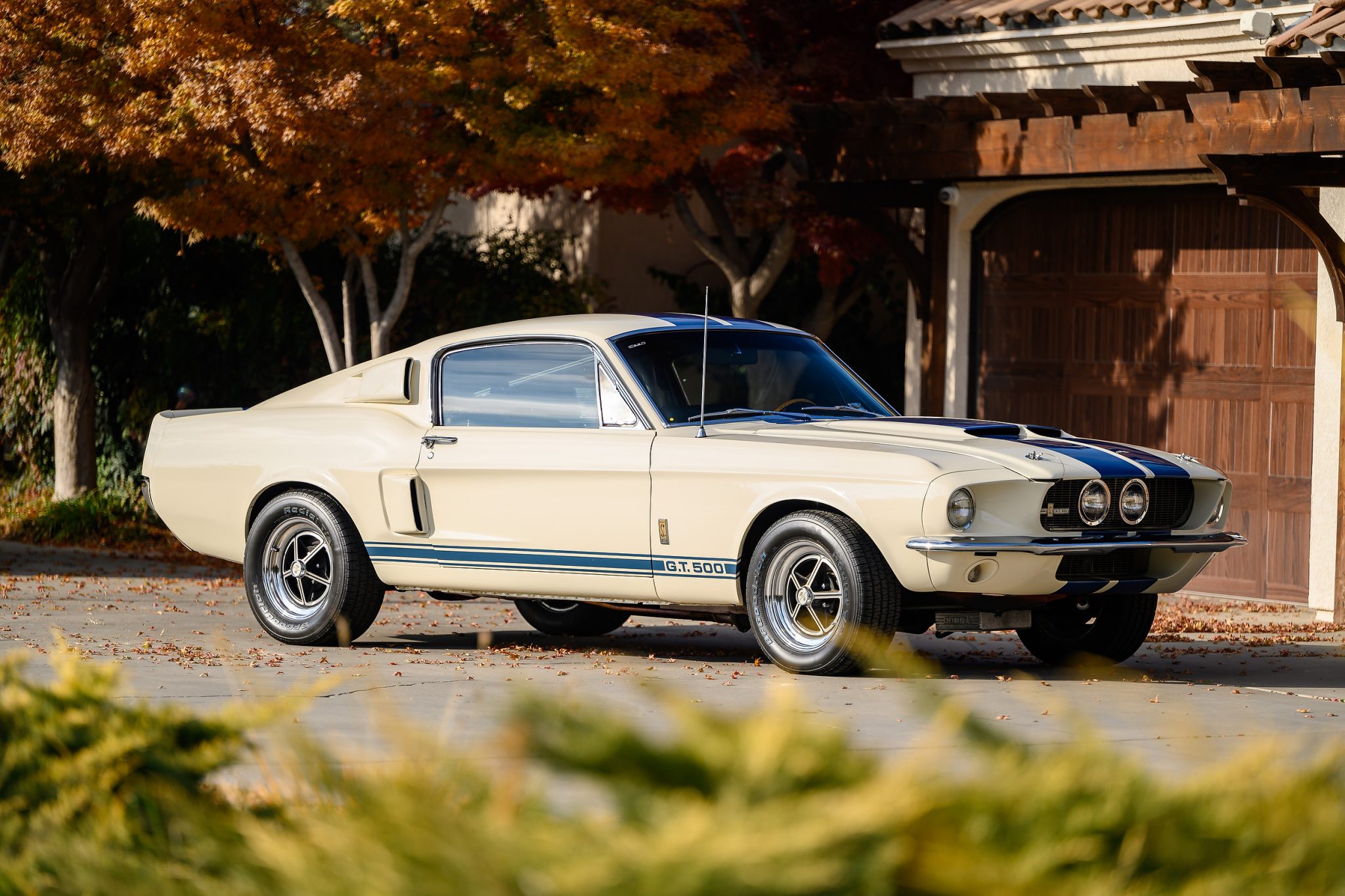 1967 Shelby Mustang GT350 & GT500 