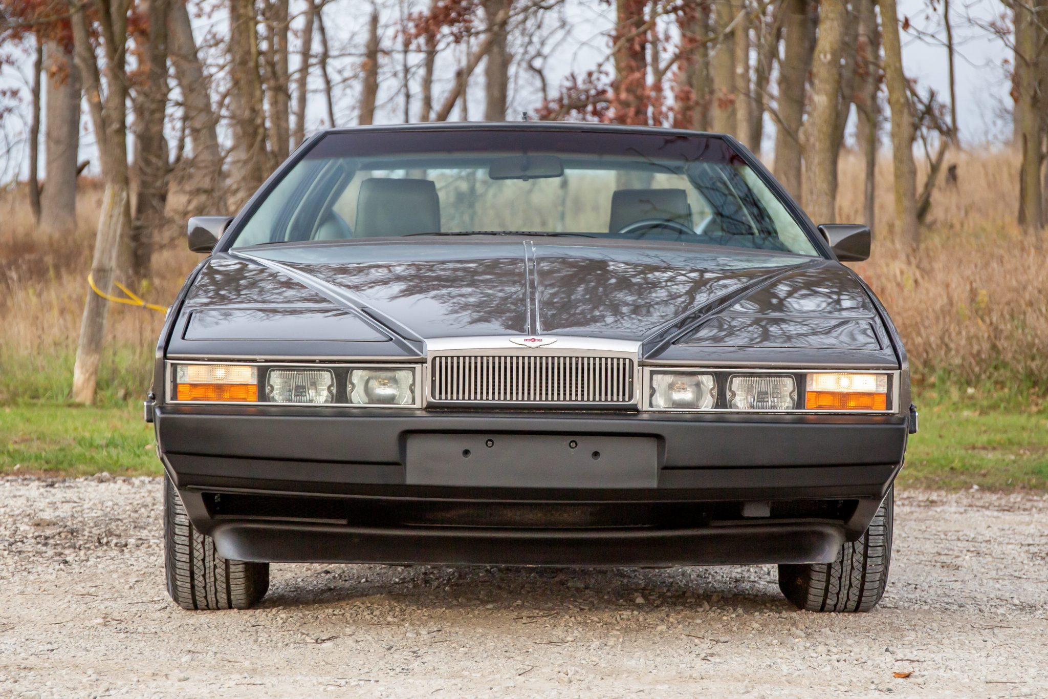 1985 Aston Martin Lagonda 