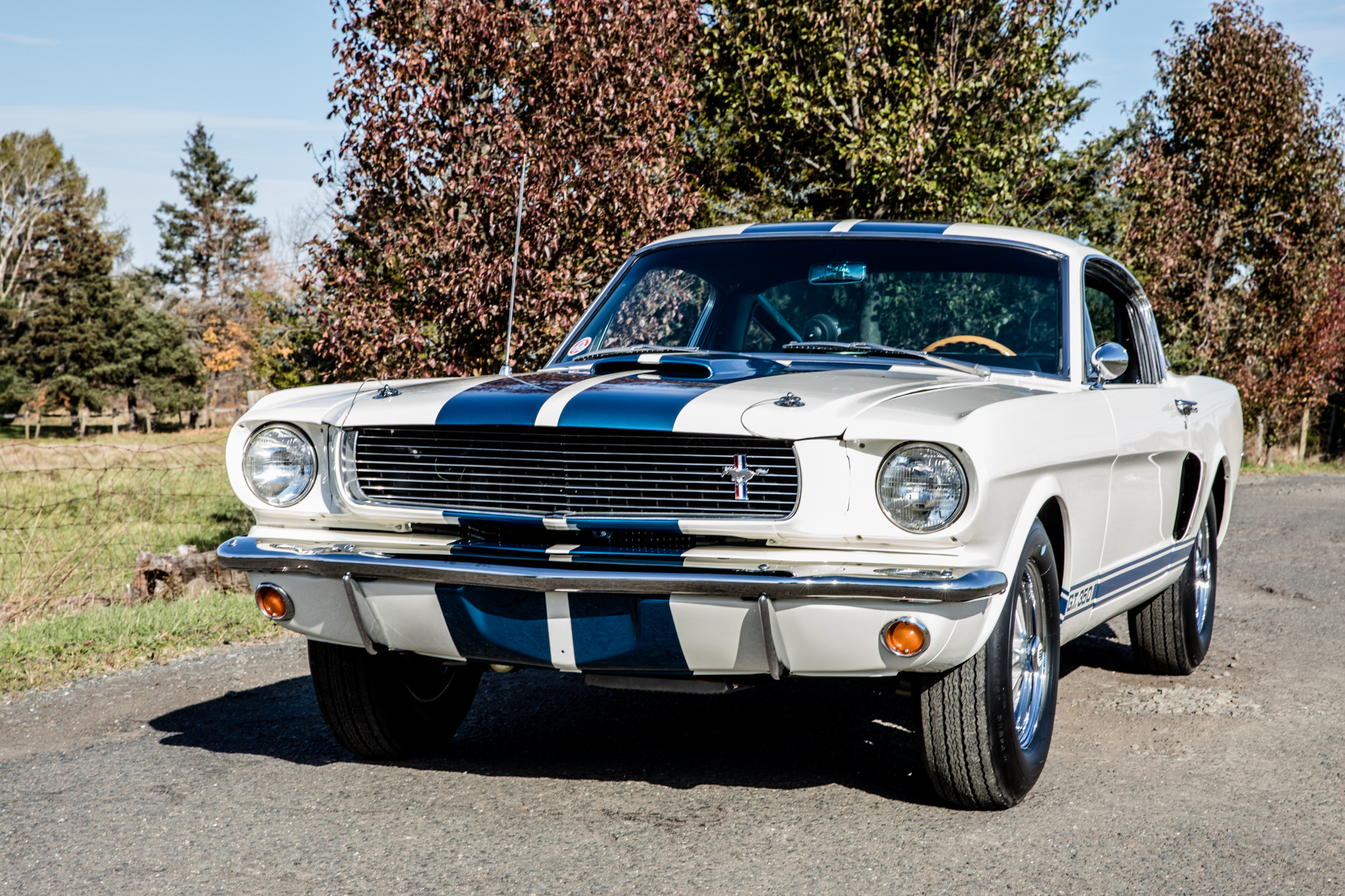 1966 Shelby Mustang GT350 & GT500 