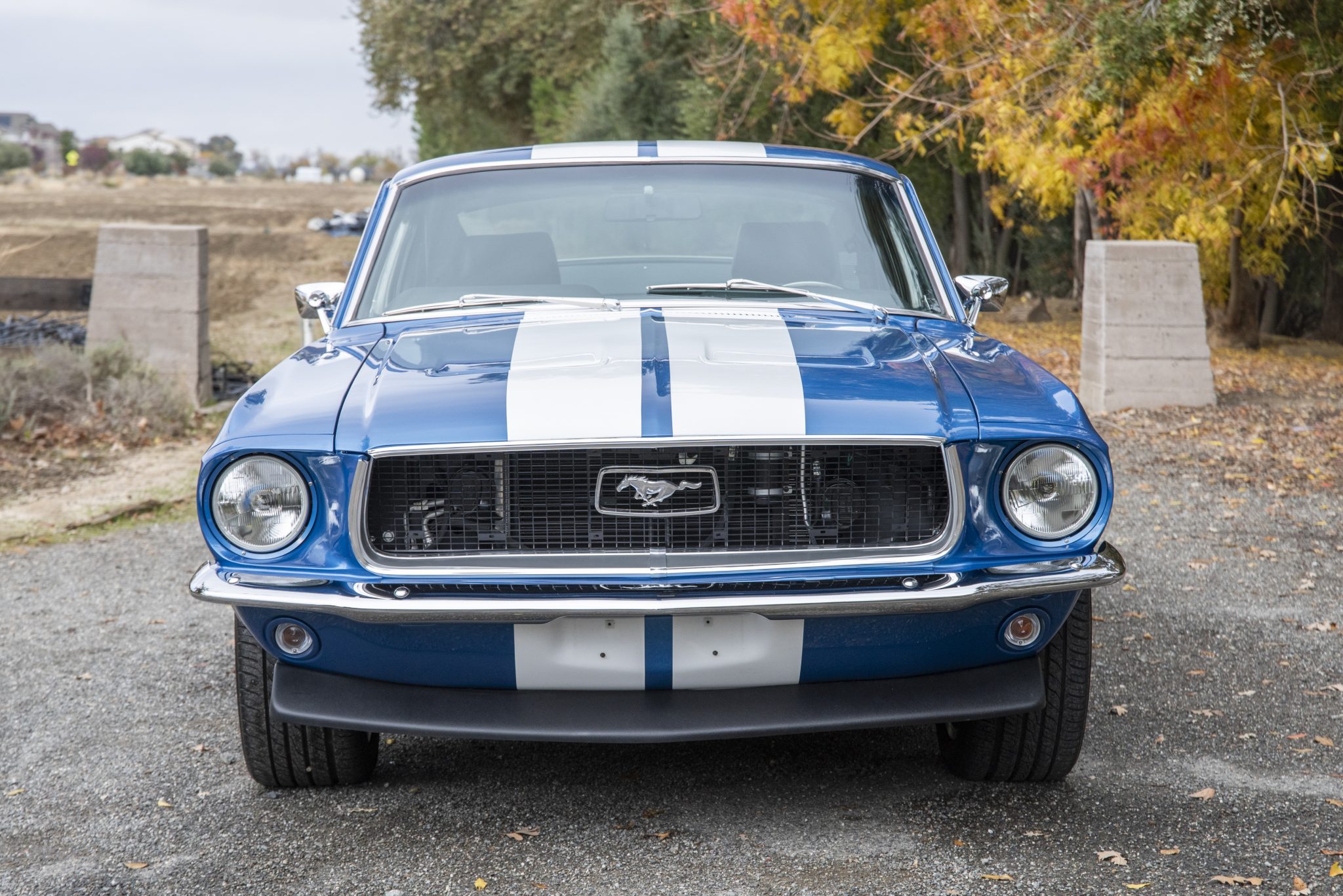 1968 Ford Mustang 1967-1968 