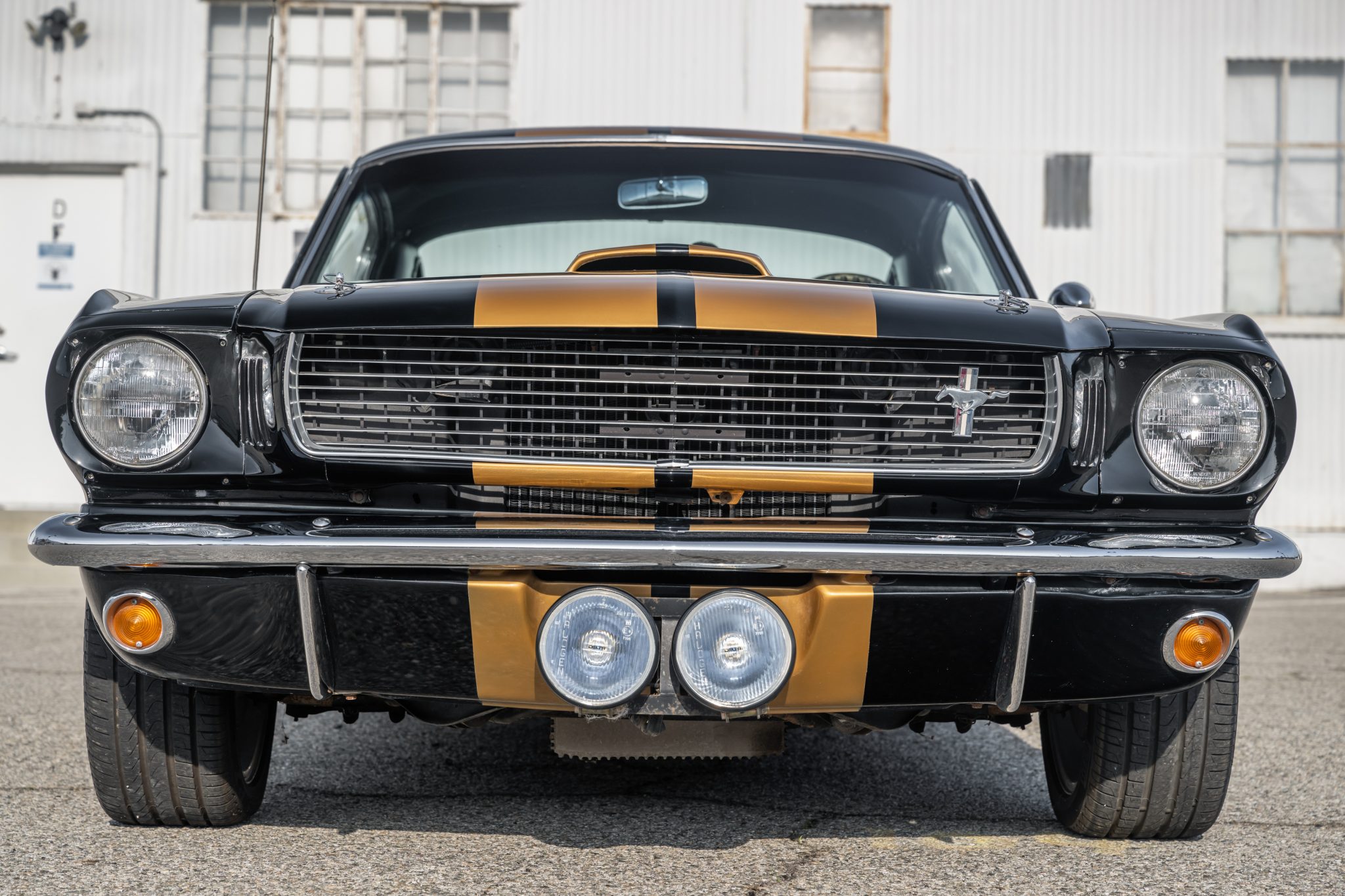 1966 Shelby Mustang GT350 & GT500 