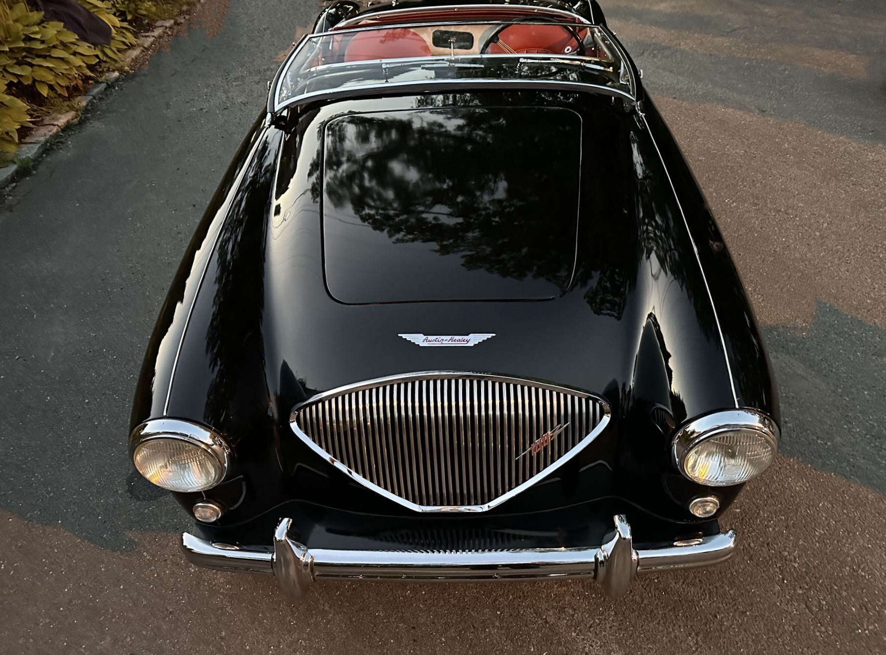 1954 Austin-Healey 100 