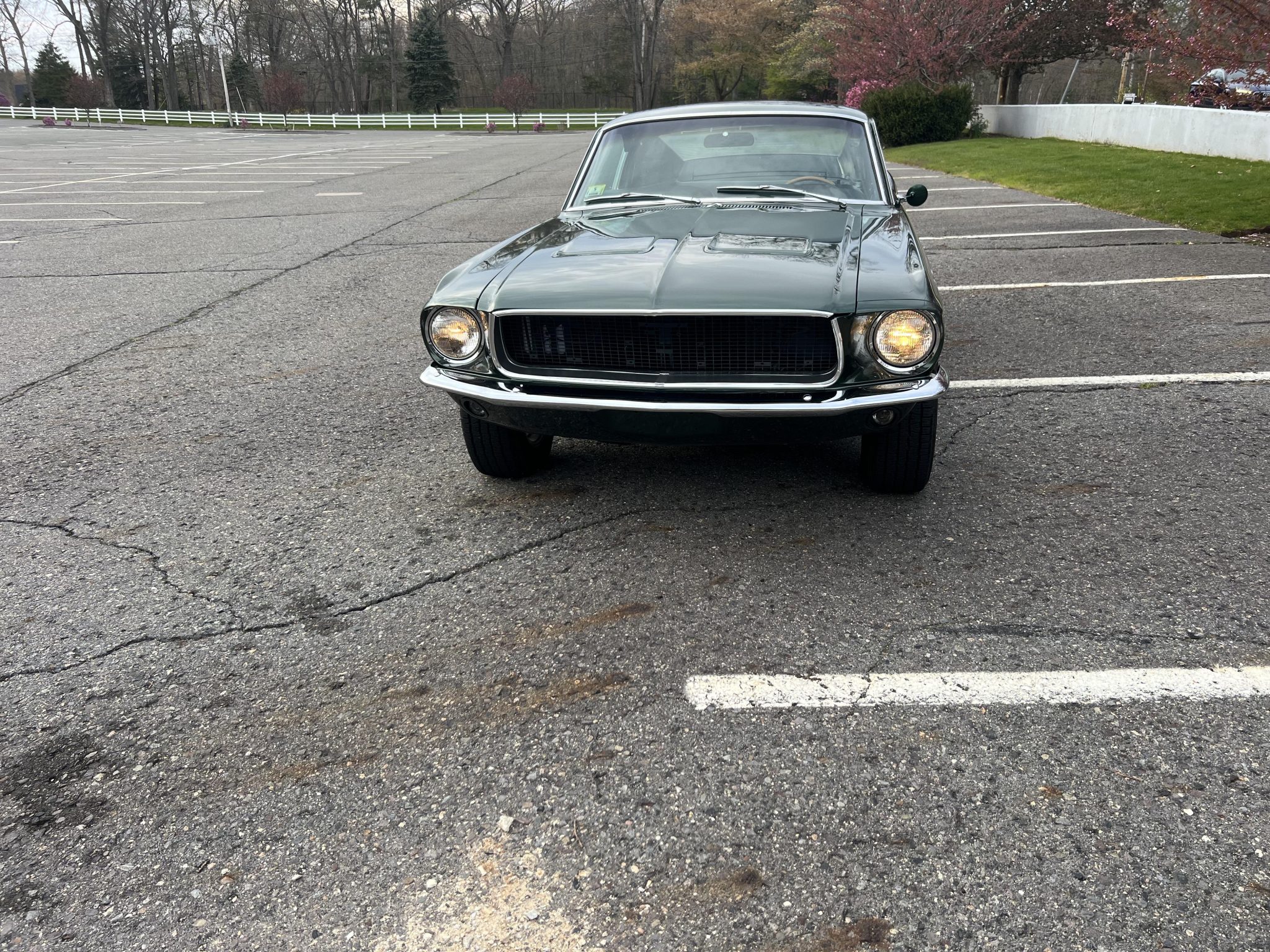1968 Ford Mustang 1967-1968 