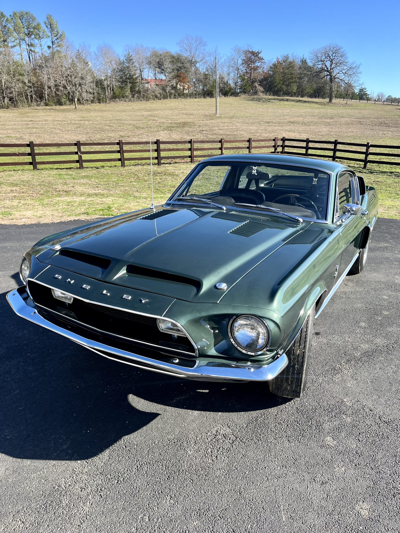 1968 Shelby Mustang GT350 & GT500 