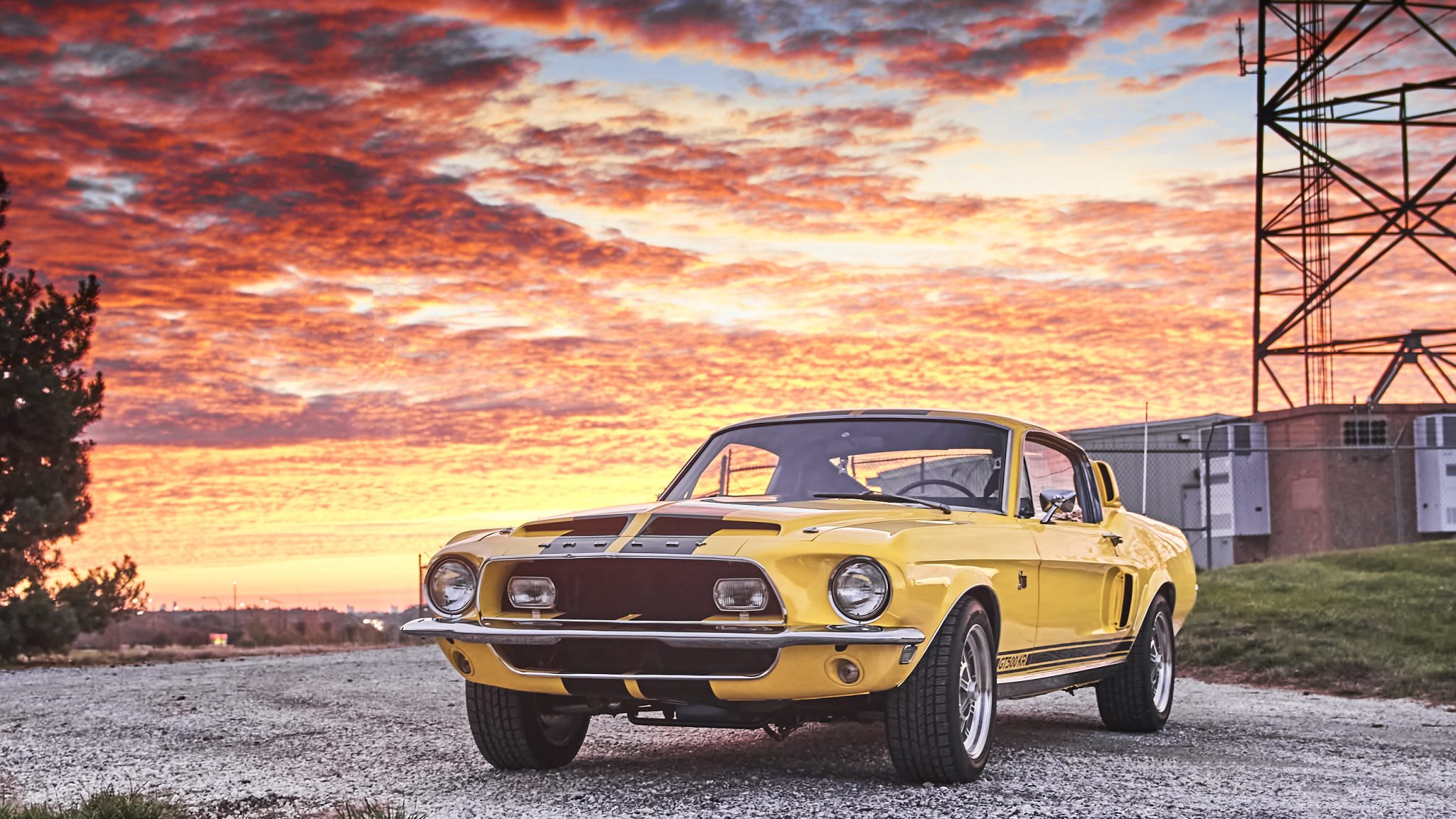 1968 Shelby Mustang GT350 & GT500 