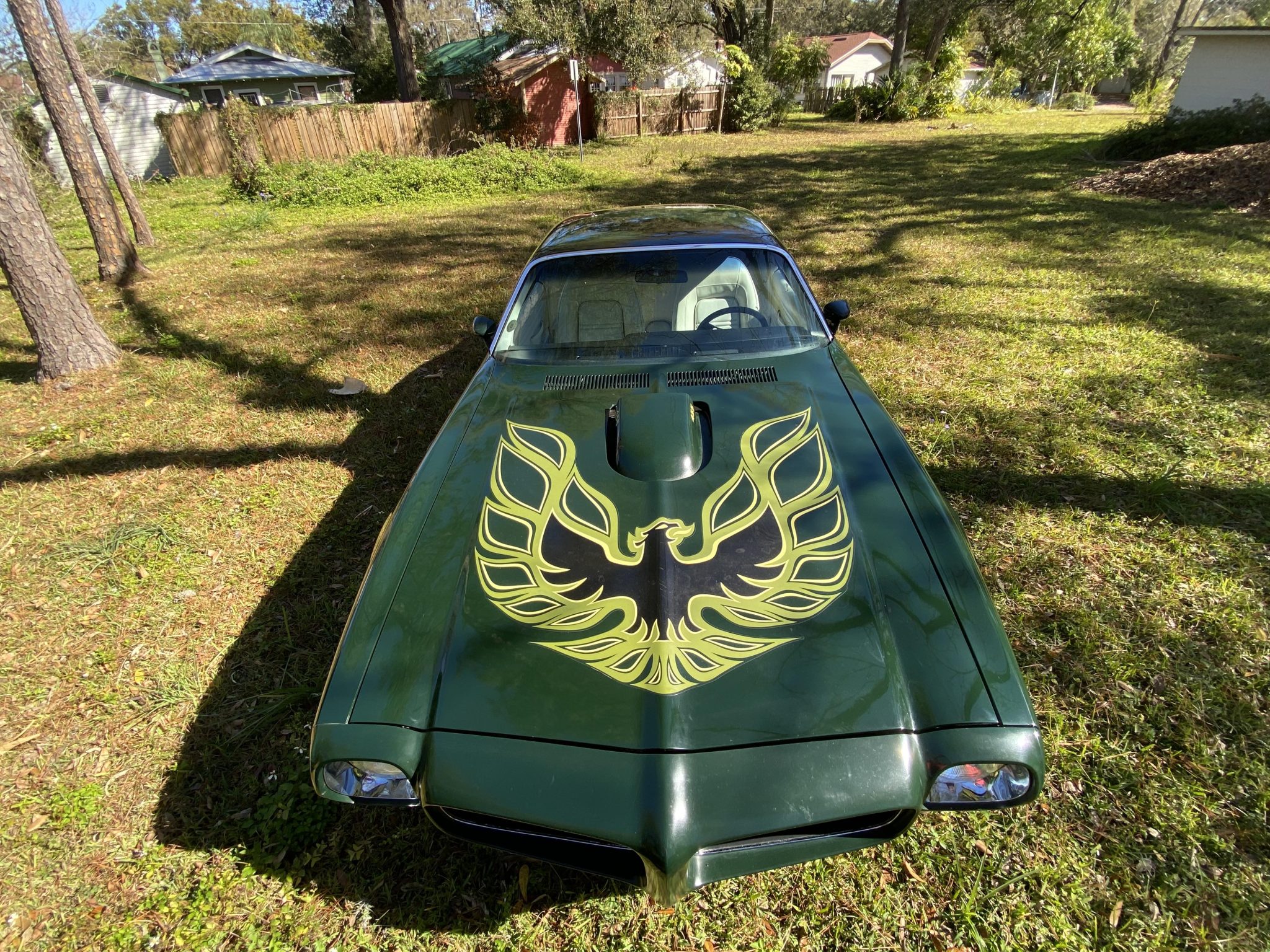 1973 Pontiac Firebird (1970-1981) 