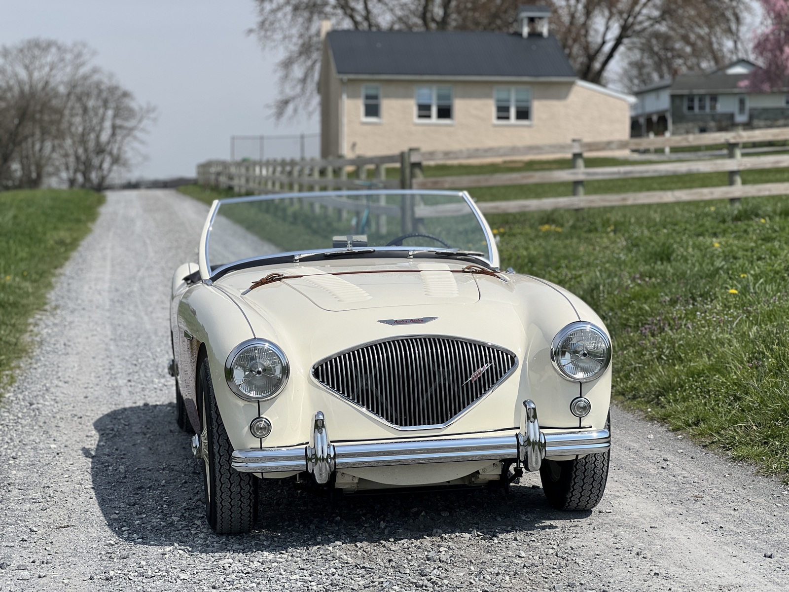 1955 Austin-Healey 100 